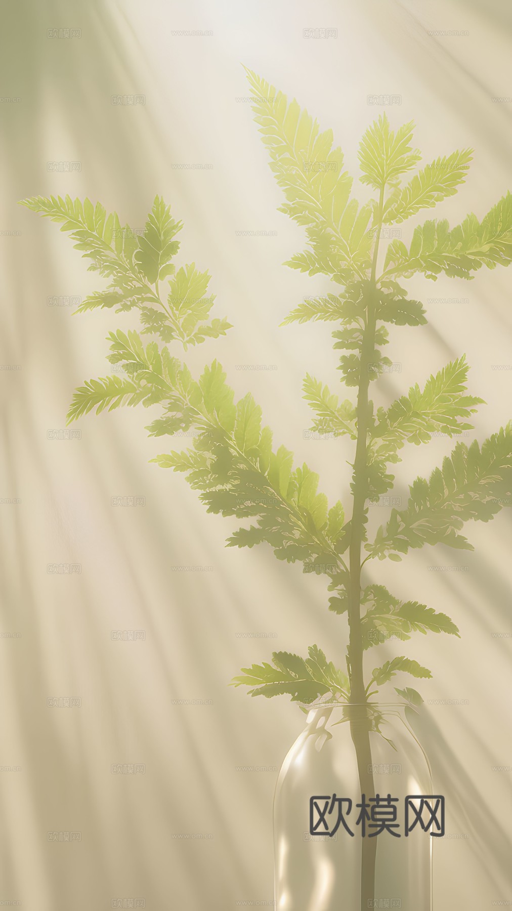 文艺小清新简约现代装饰画