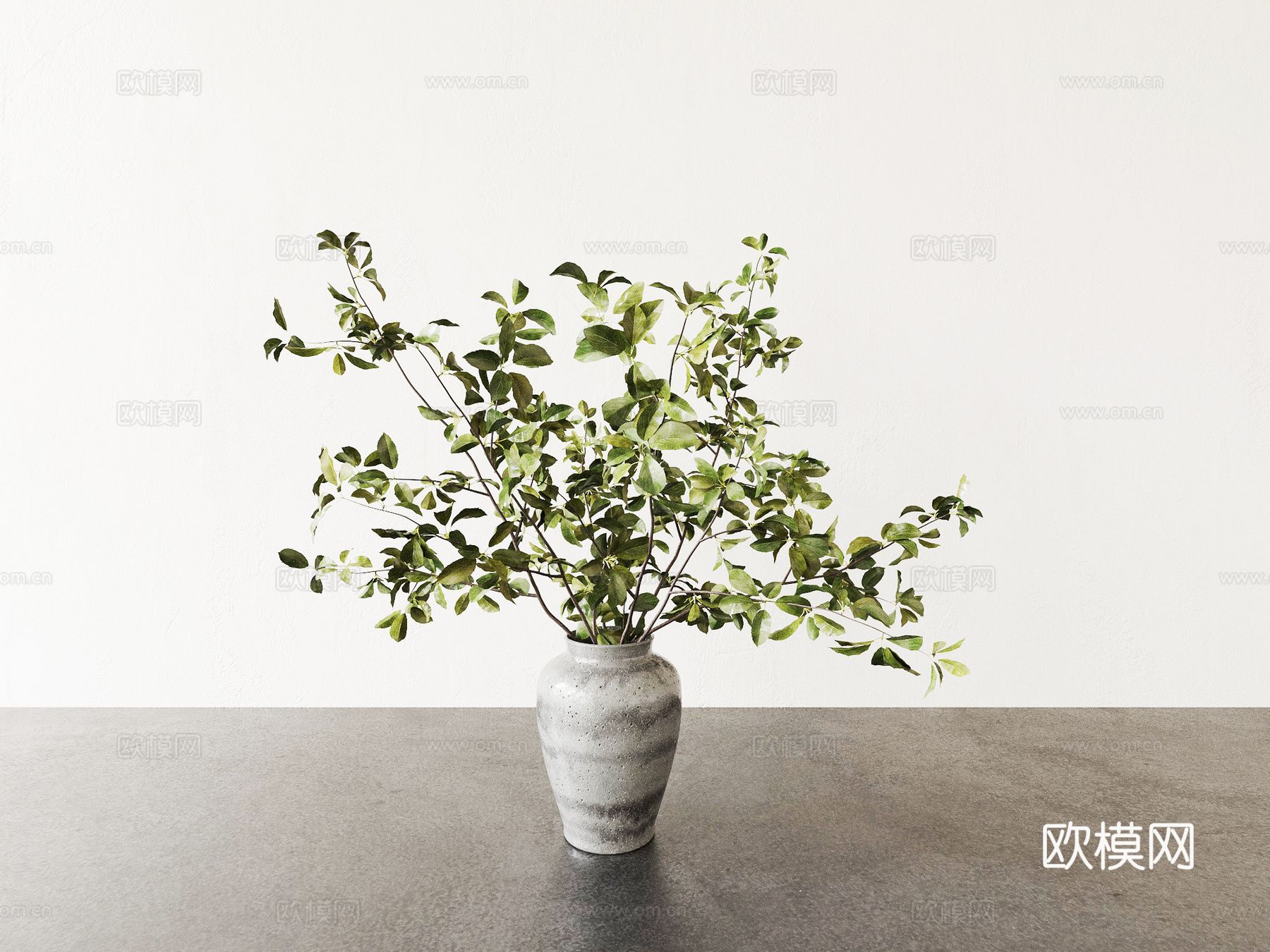 植物 盆栽 花盆 绿植3d模型