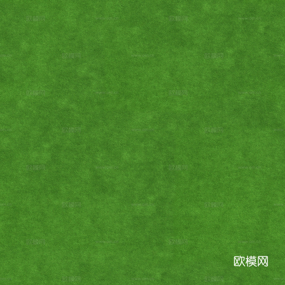 无缝草地 草坪