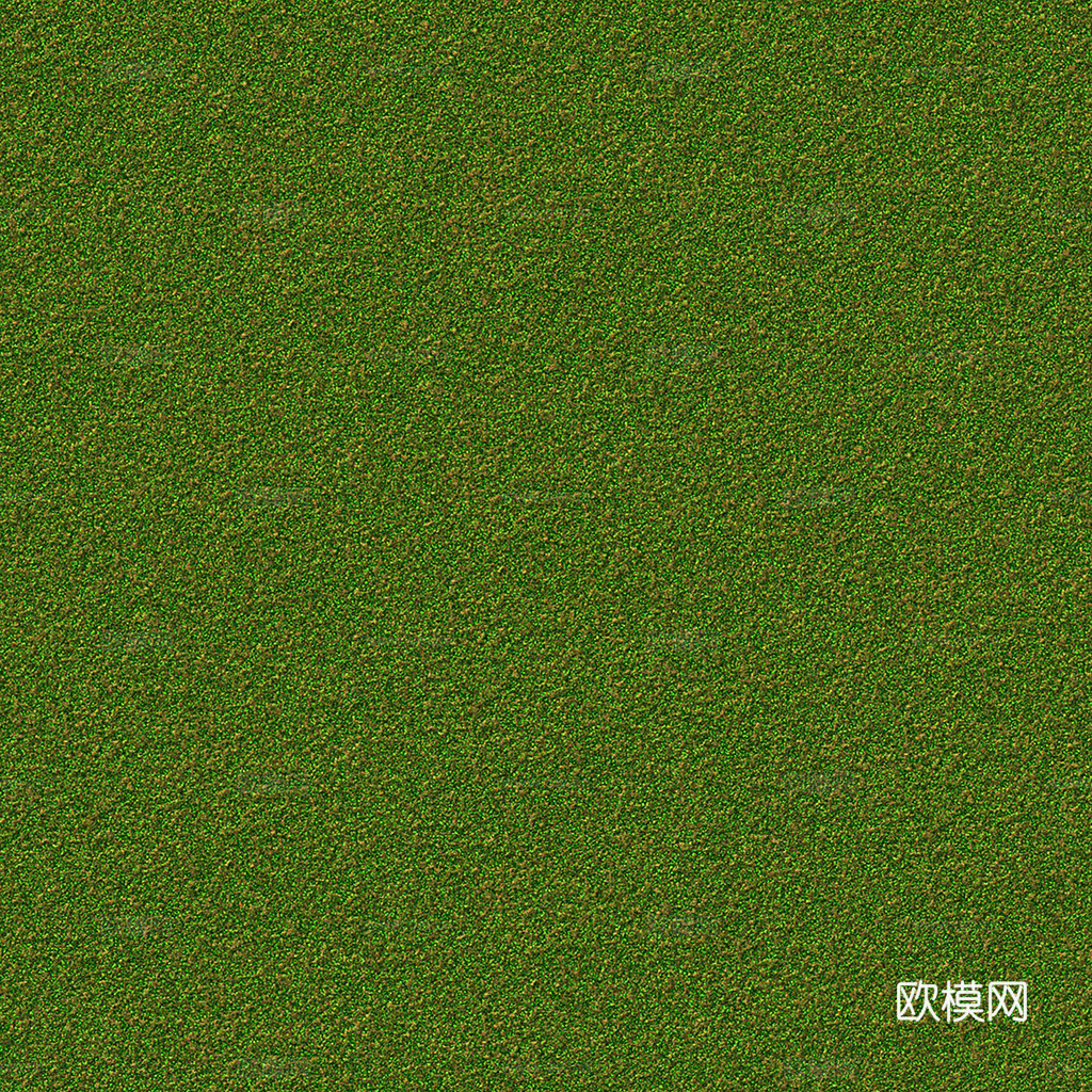 无缝草地 草坪