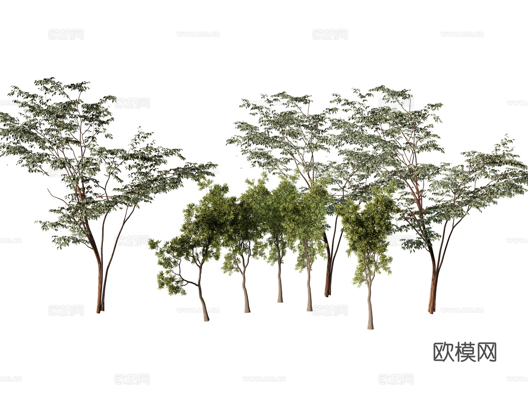 植物组合树木绿植   树池植物组合su模型