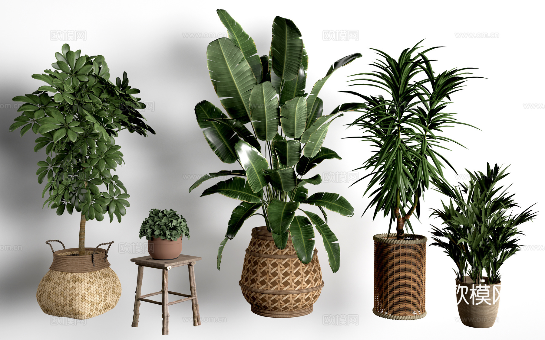 现代花盆 盆栽植物 花卉摆件 绿植su模型