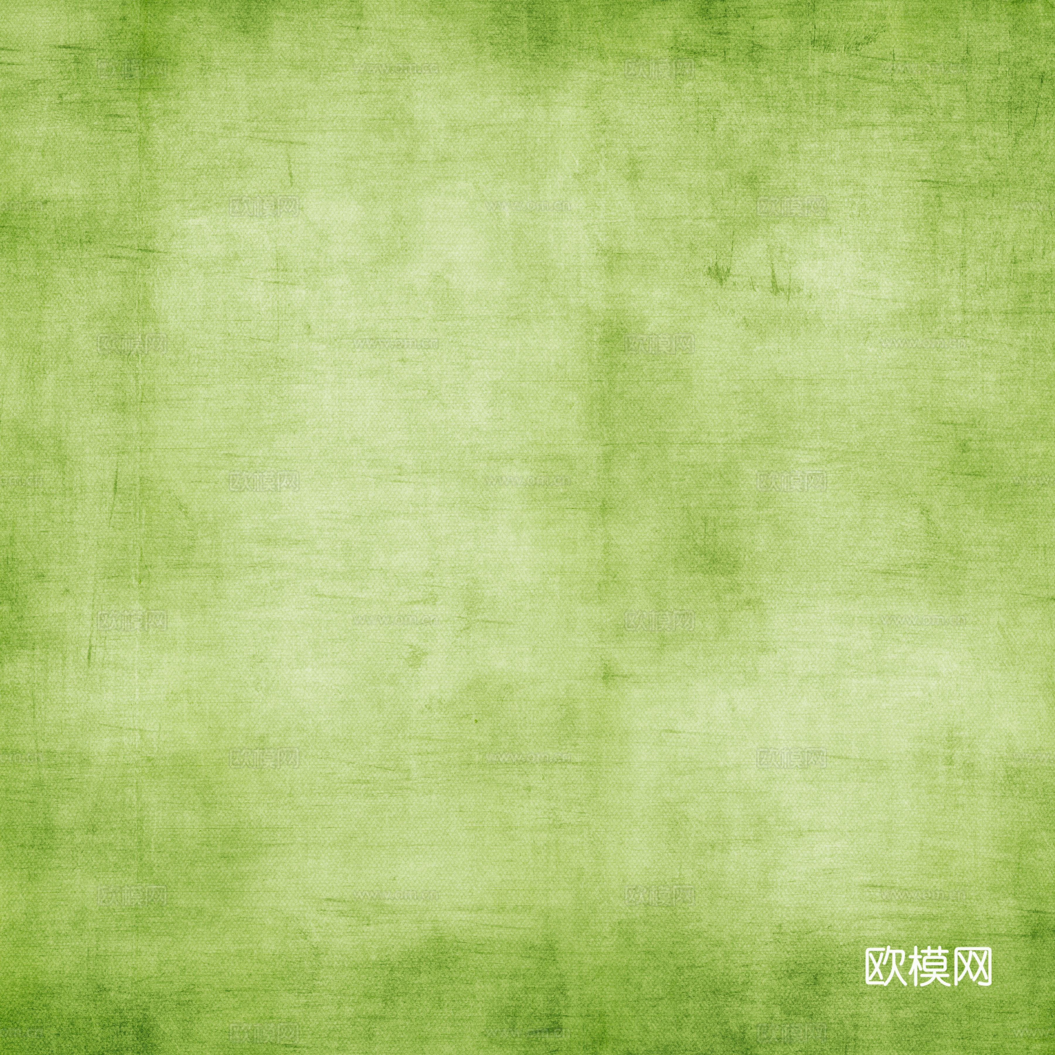 草地 草坪