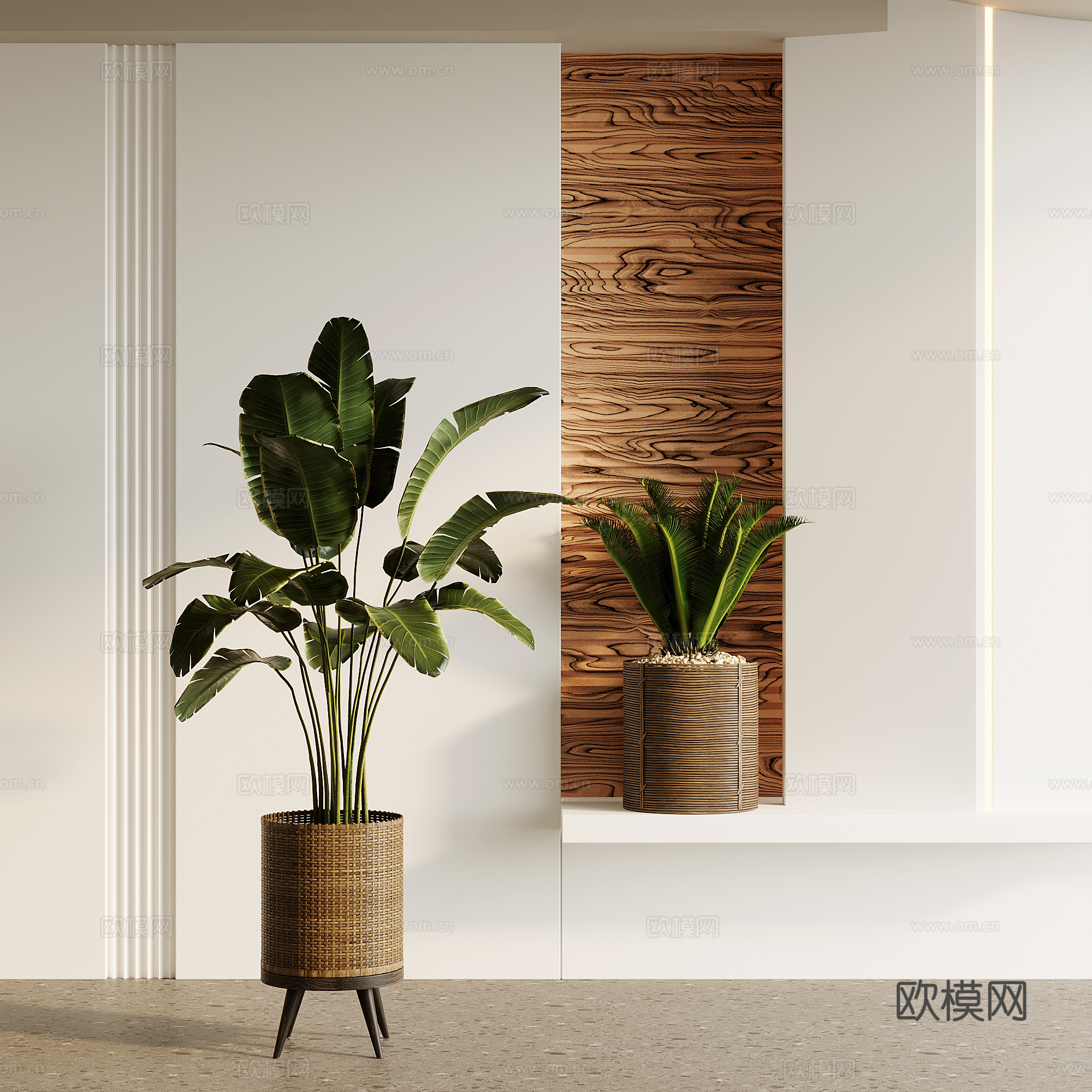 绿植 现代绿植 盆栽盆景 树 植物su模型