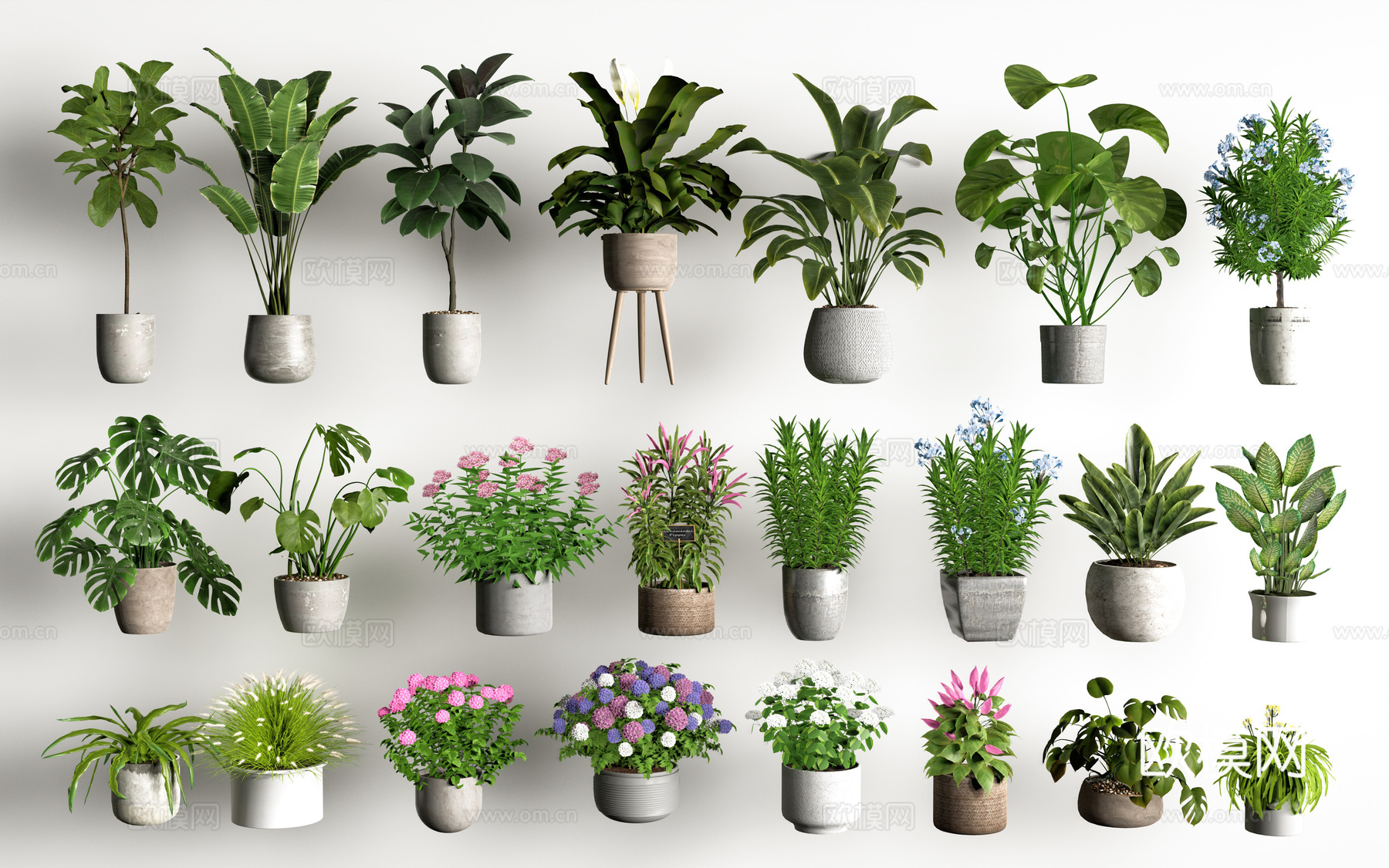 现代花盆 盆栽植物 花卉摆件 多肉植物su模型