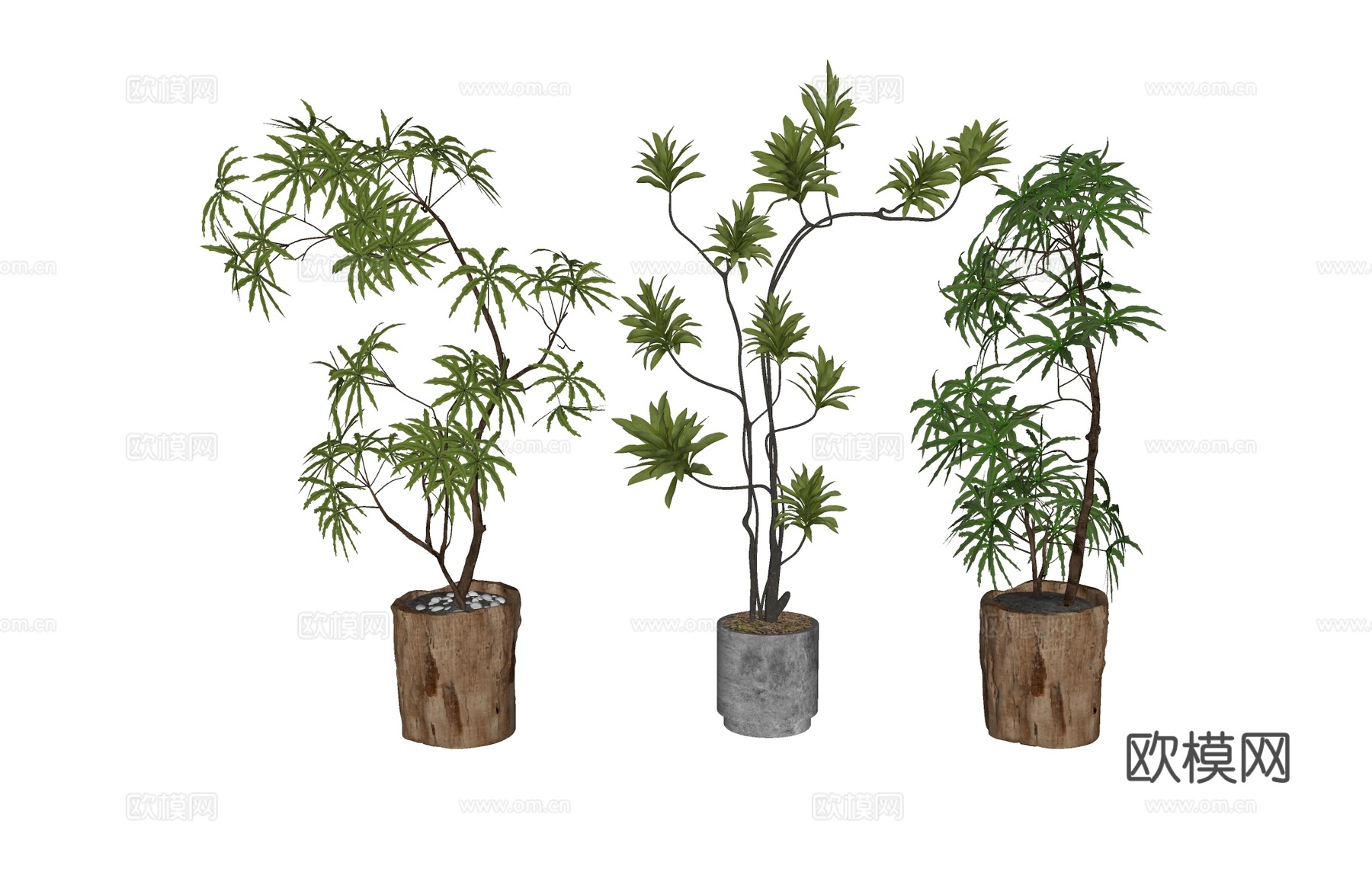 植物组合盆栽花盆 盆栽组合树su模型