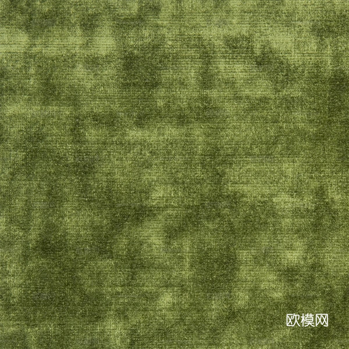 草地 草坪