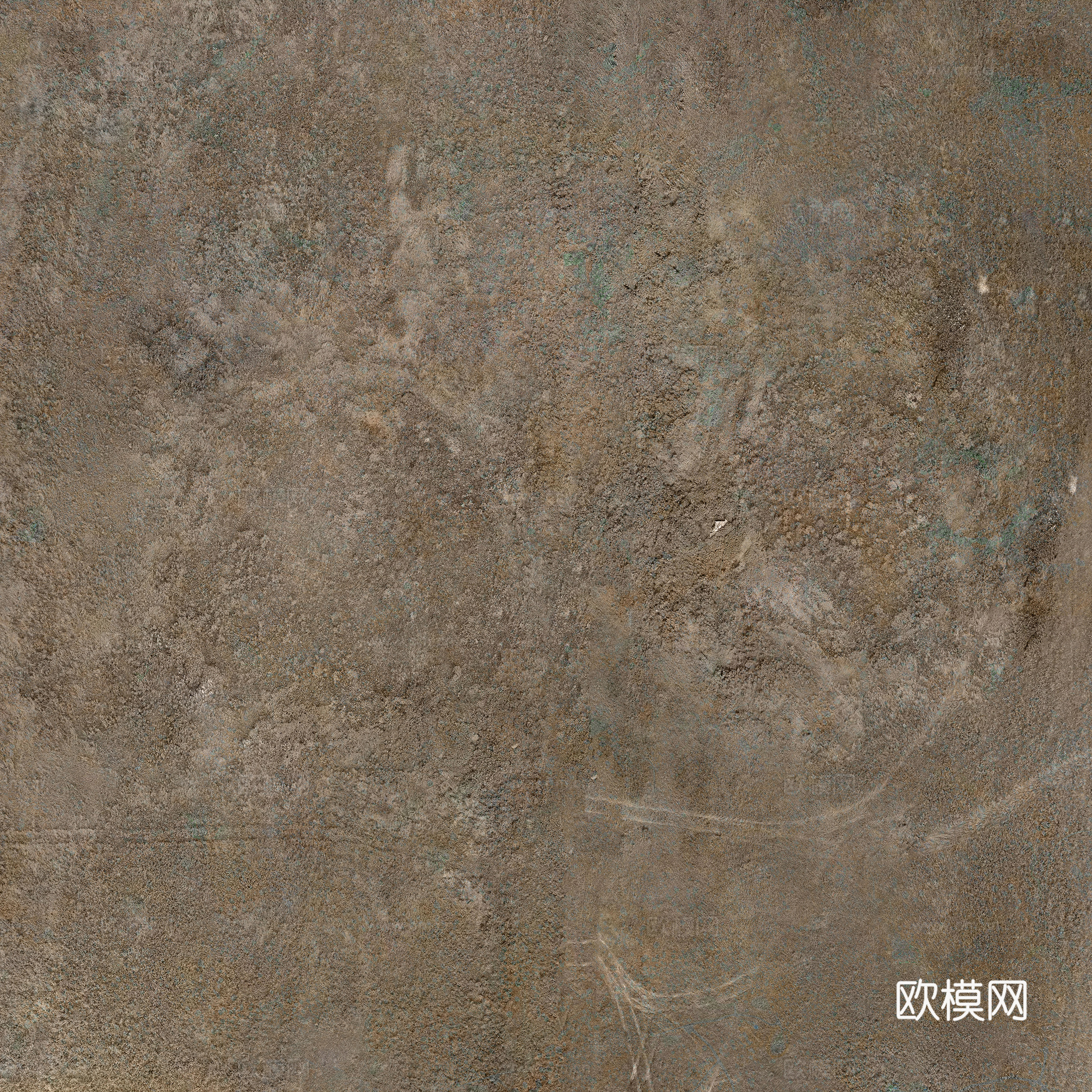 沙地 泥地