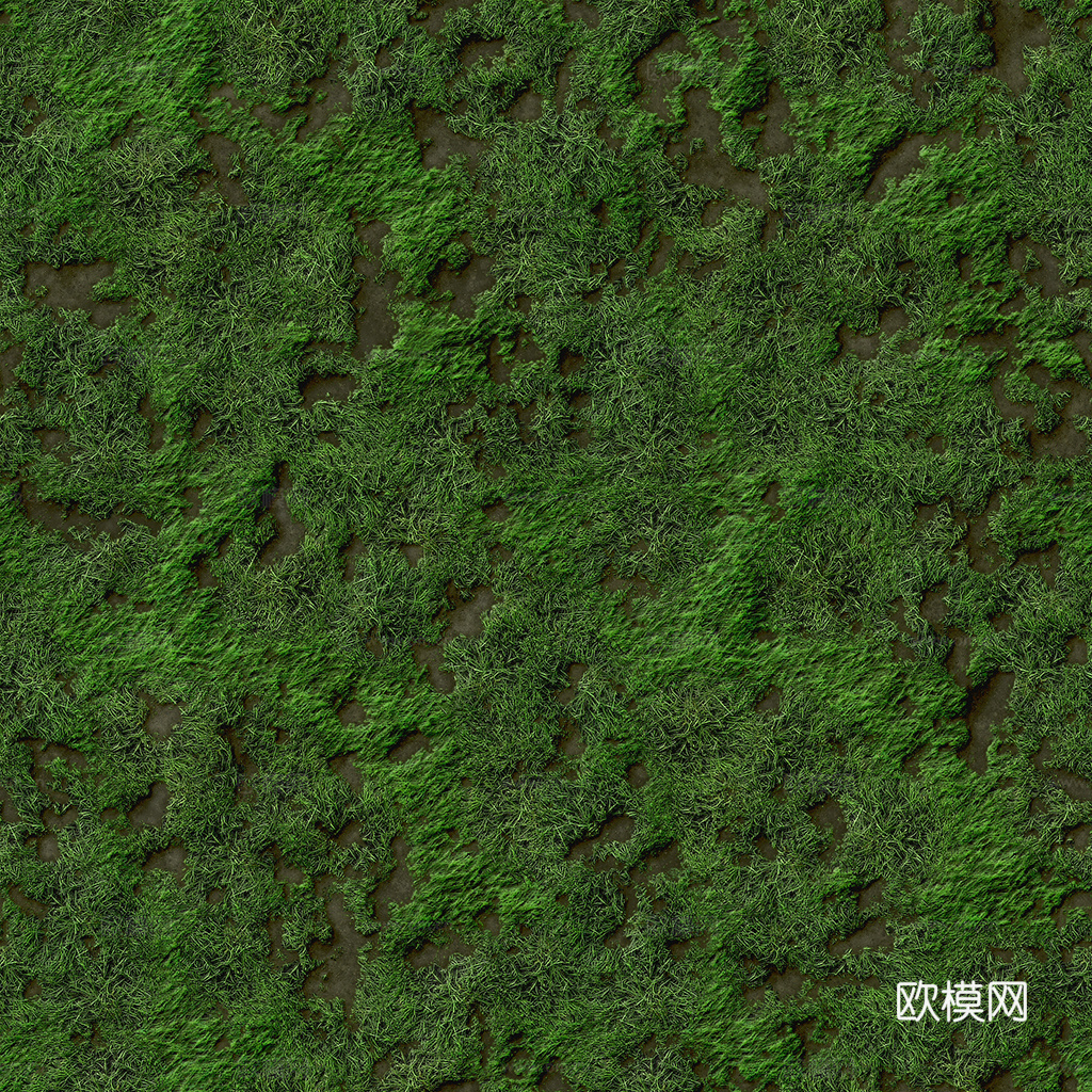 无缝草地 草坪