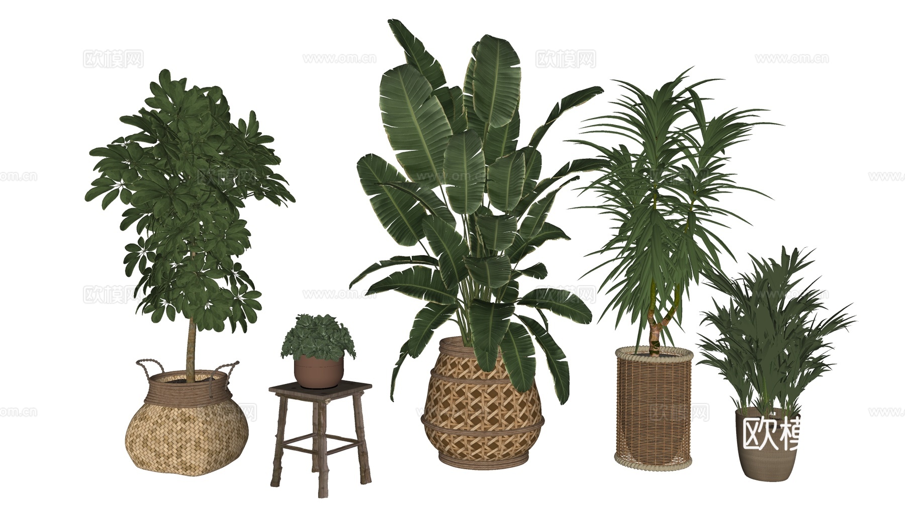 现代花盆 盆栽植物 花卉摆件 绿植su模型