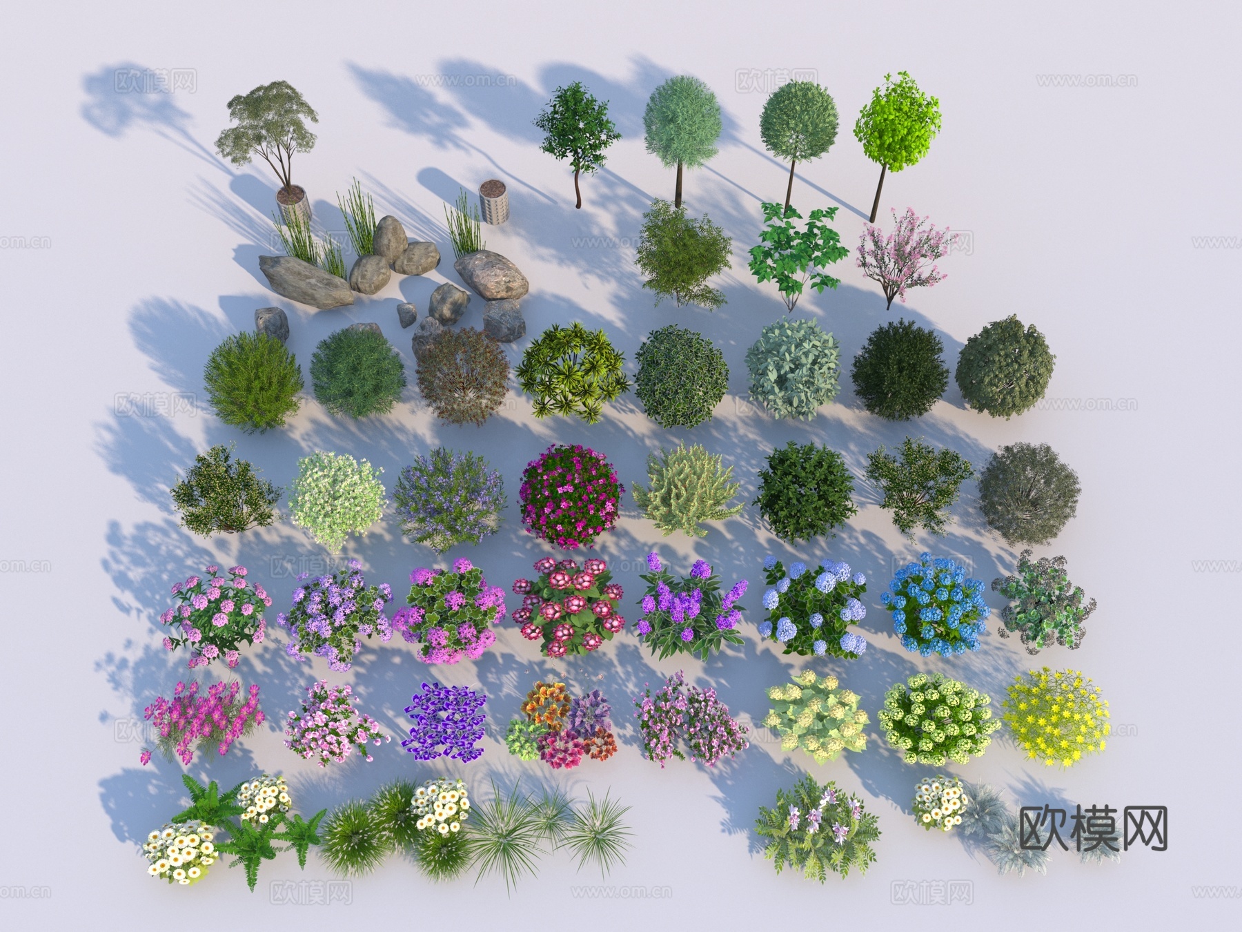 现代植物组3d模型