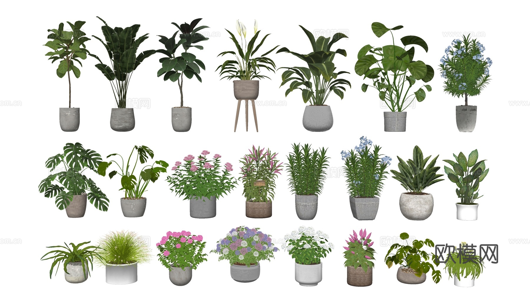 现代花盆 盆栽植物 花卉摆件 多肉植物su模型