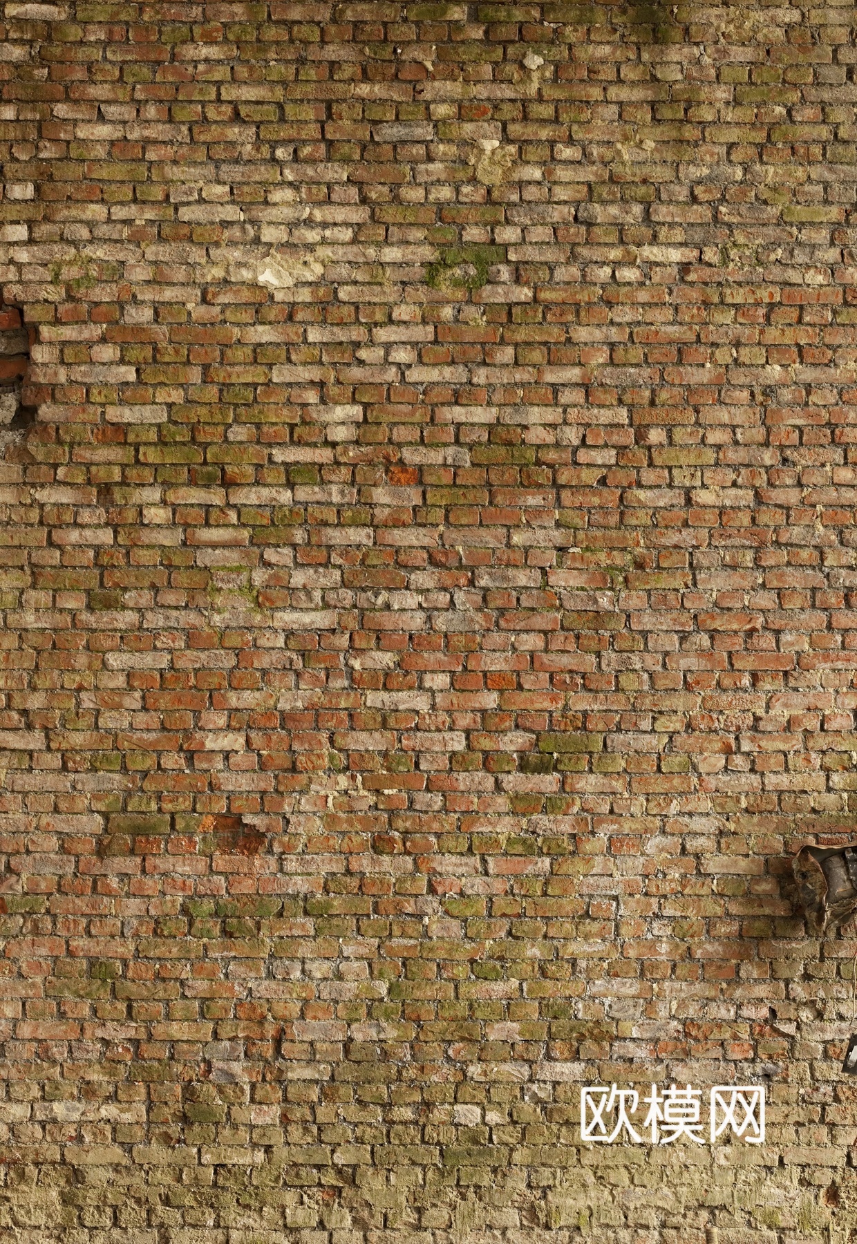 现代砖块  小砖块 砖墙  做旧外墙下载