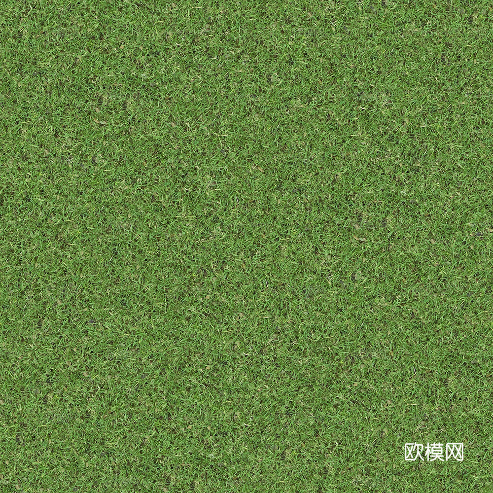 无缝草地 草坪下载