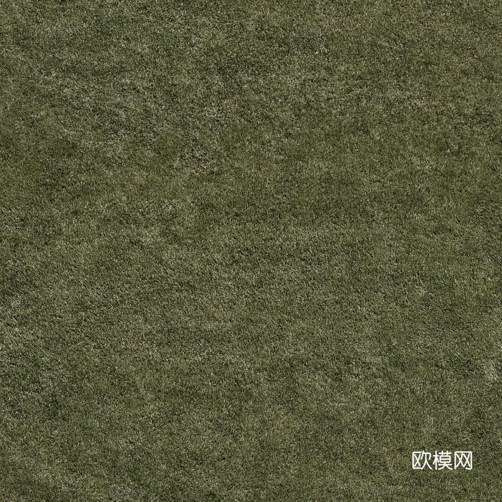 无缝草地 草坪