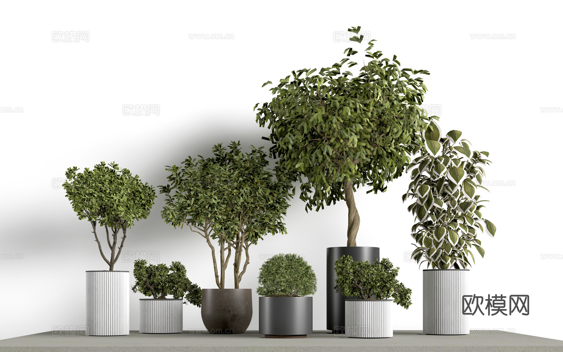 现代花盆 盆栽植物 花卉摆件su模型