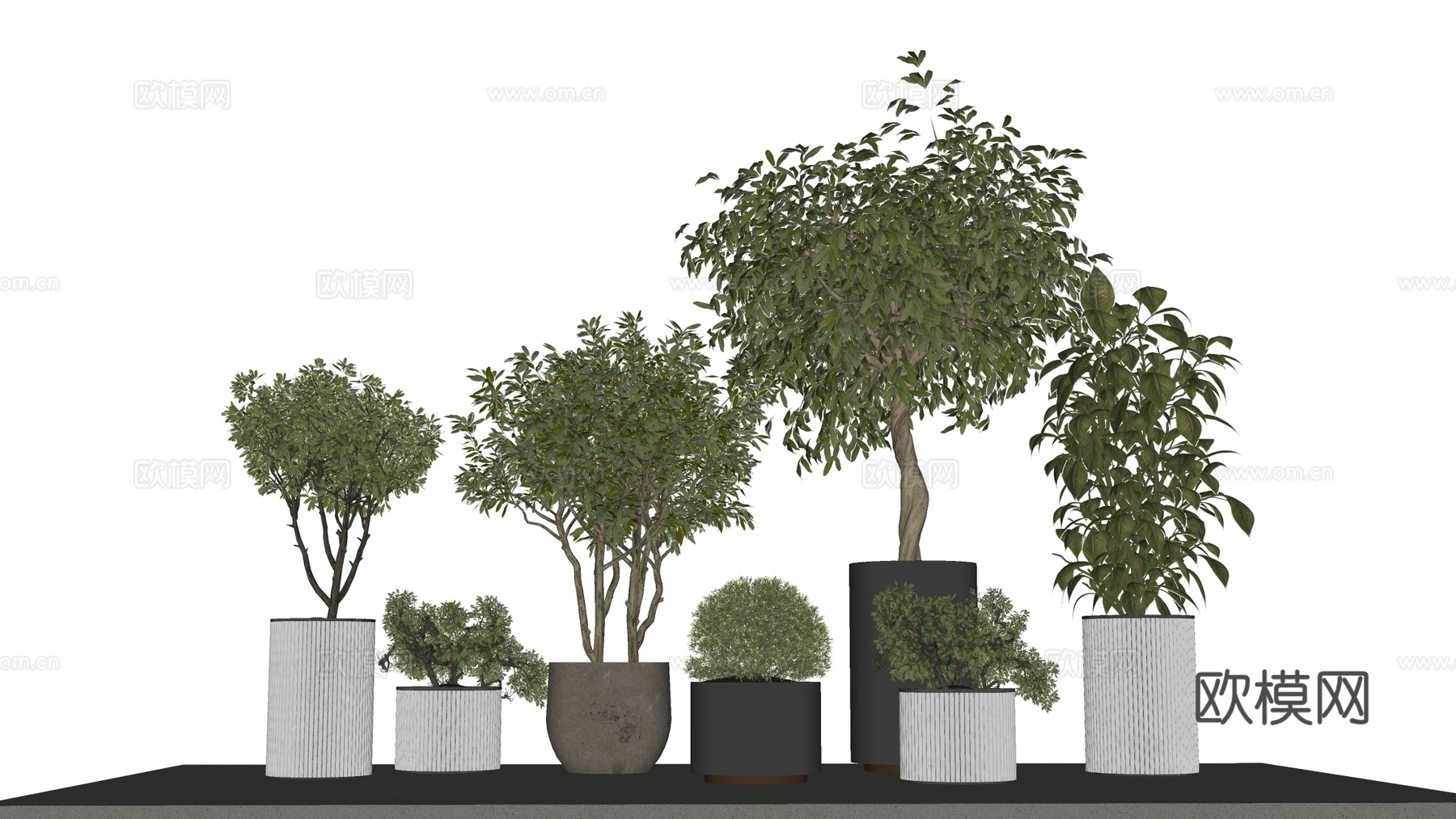 现代花盆 盆栽植物 花卉摆件su模型