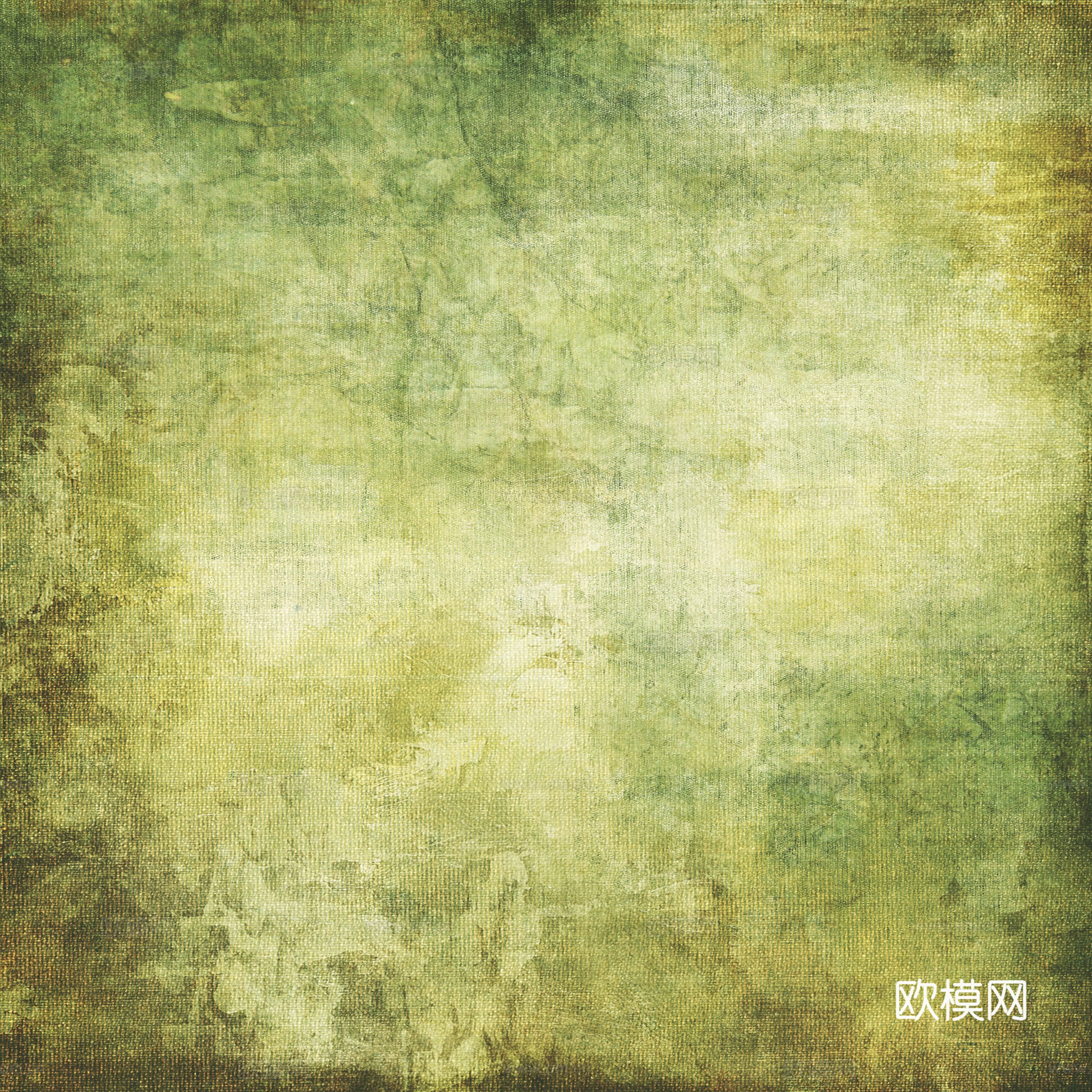 草地 草坪