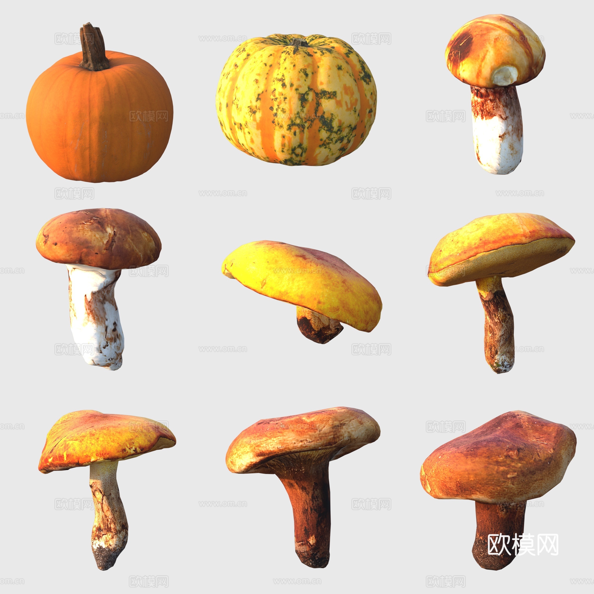 蔬菜南瓜蘑菇香菇3d模型