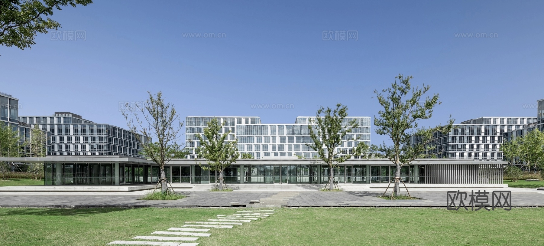 白天城市建筑  高楼  景观绿化 草坪 公园