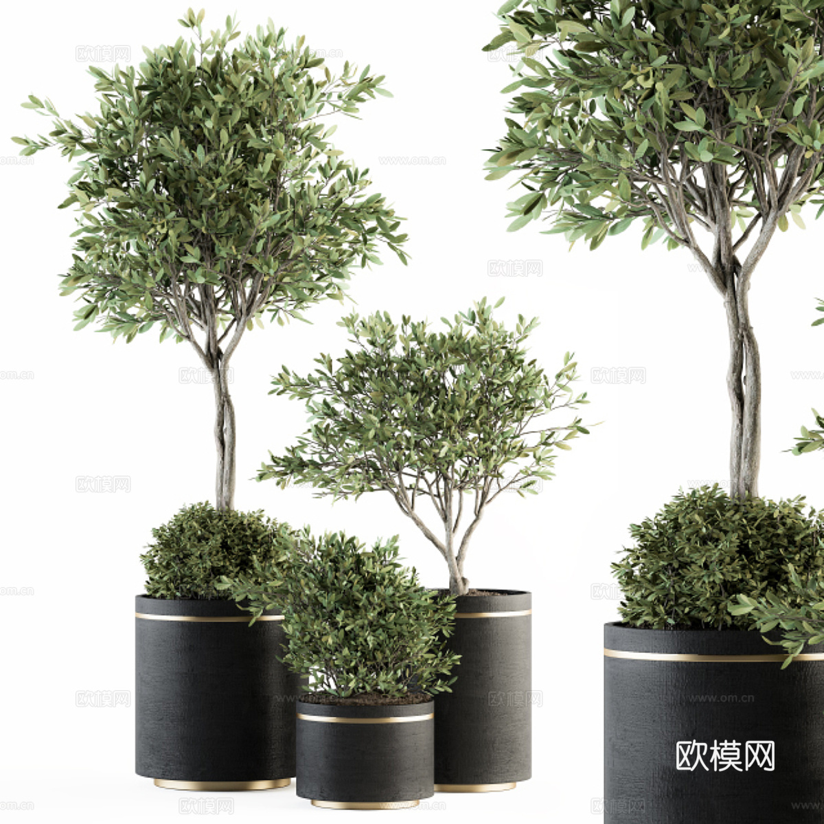 绿植盆栽3d模型