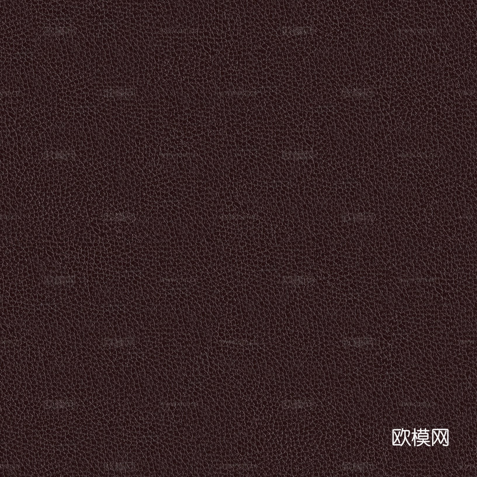 皮革 (2)