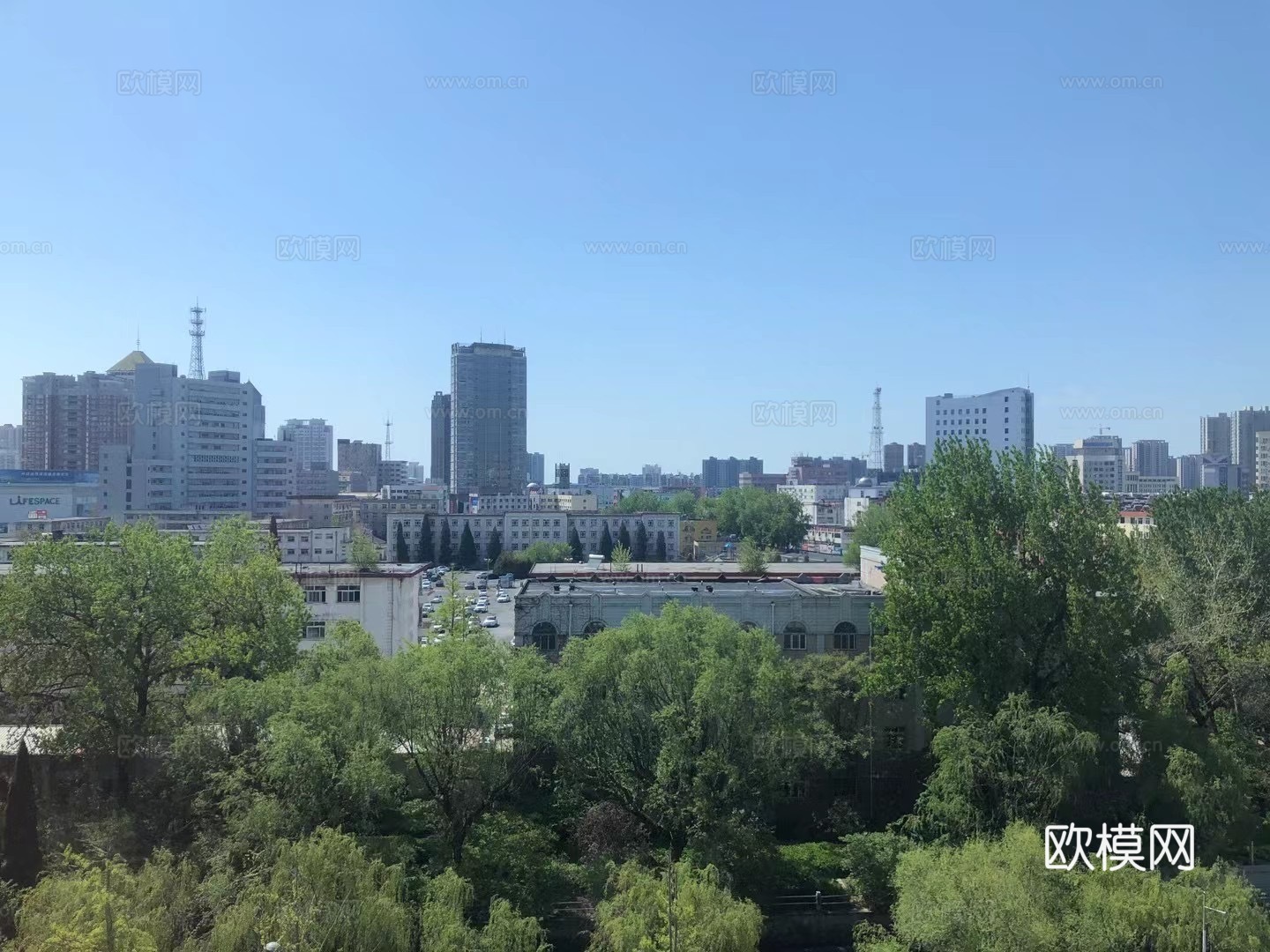 白天城市建筑  高楼  景观绿化