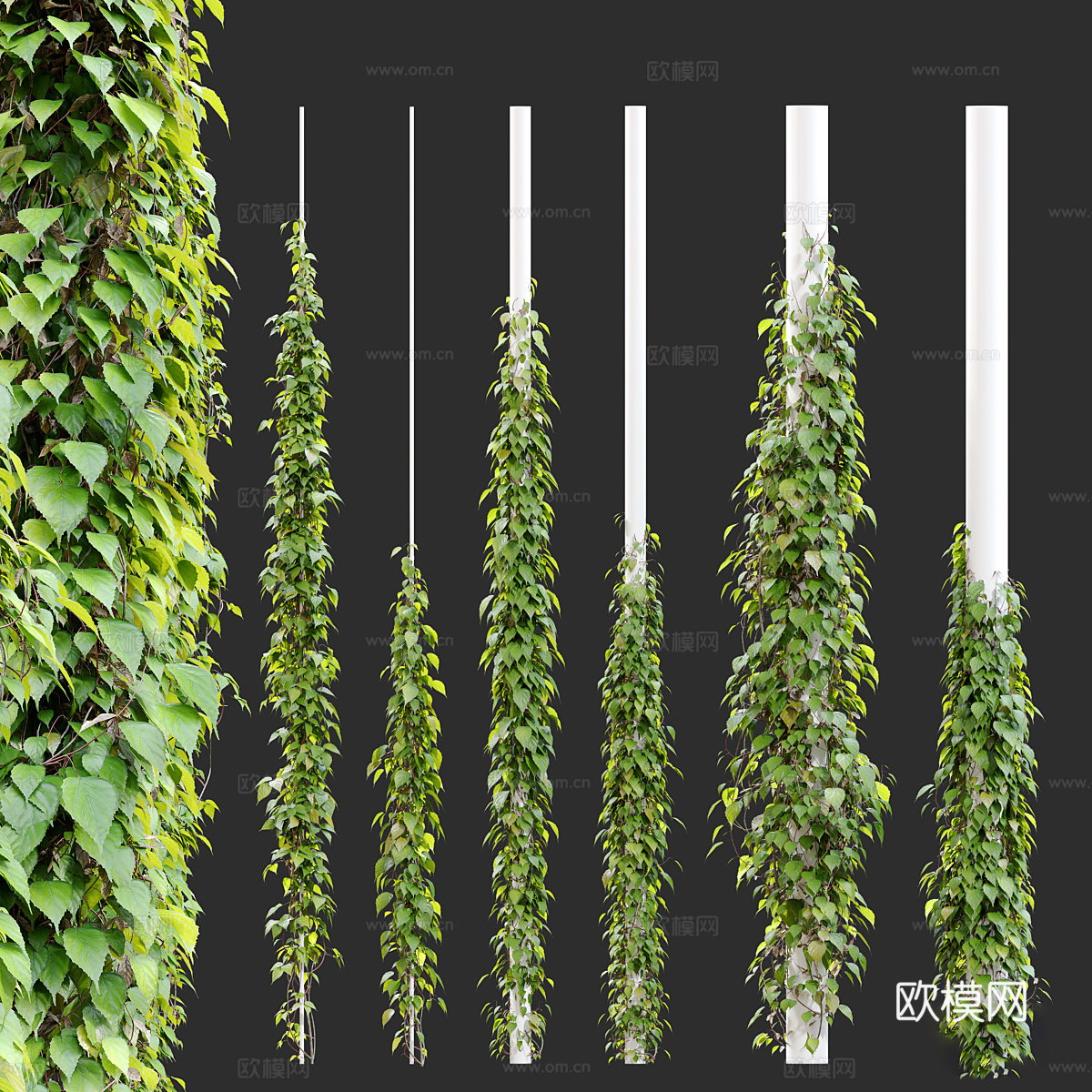 常春藤 爬山虎 植物柱子3d模型