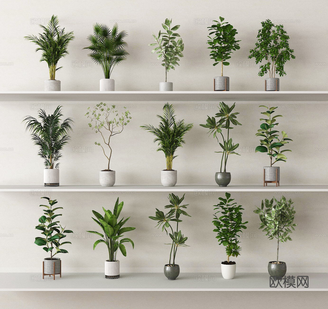 盆栽 盆景 绿植 植物su模型