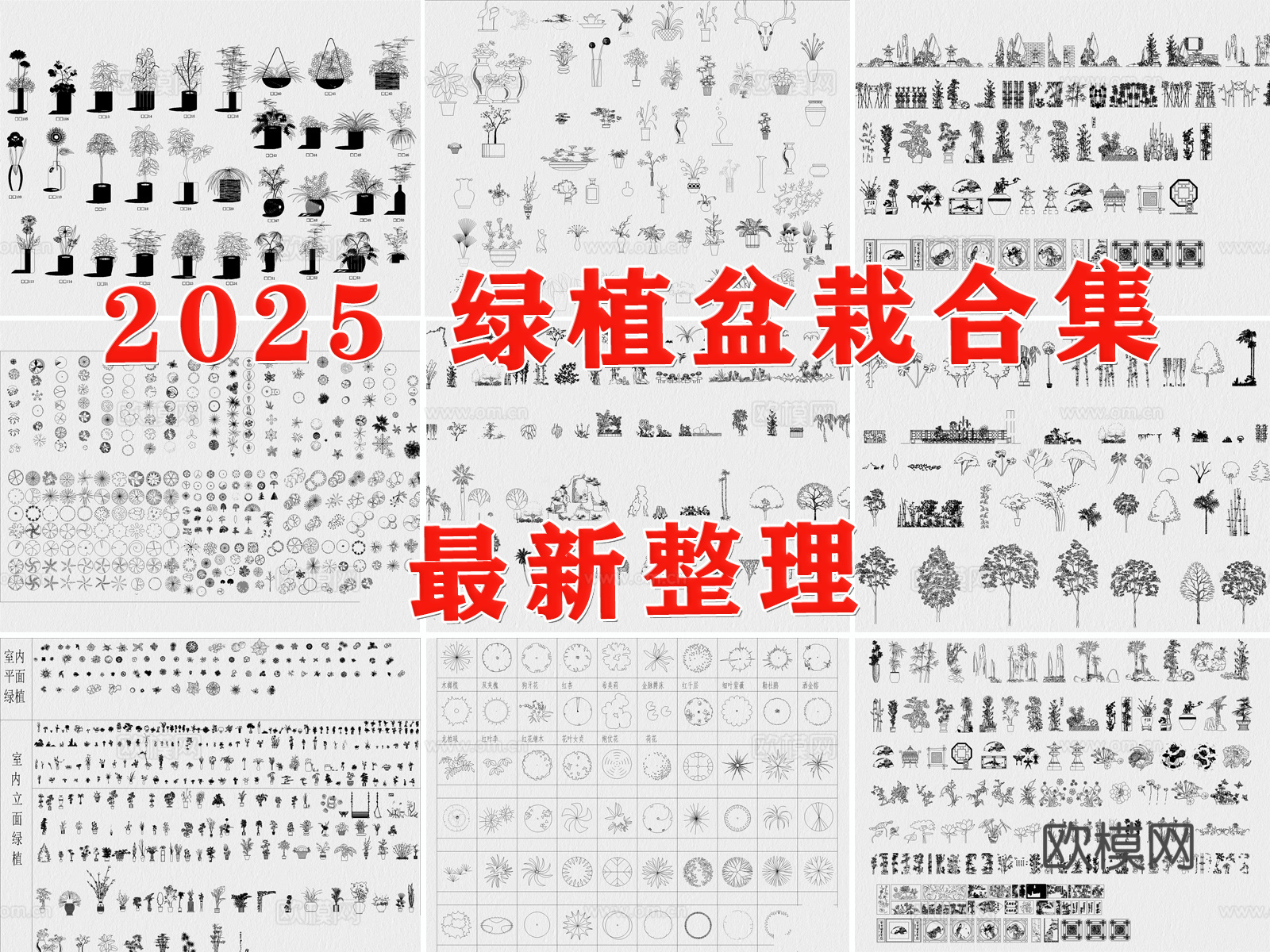 绿植 盆栽 花盆 花卉 植物 盆栽绿植cad施工图