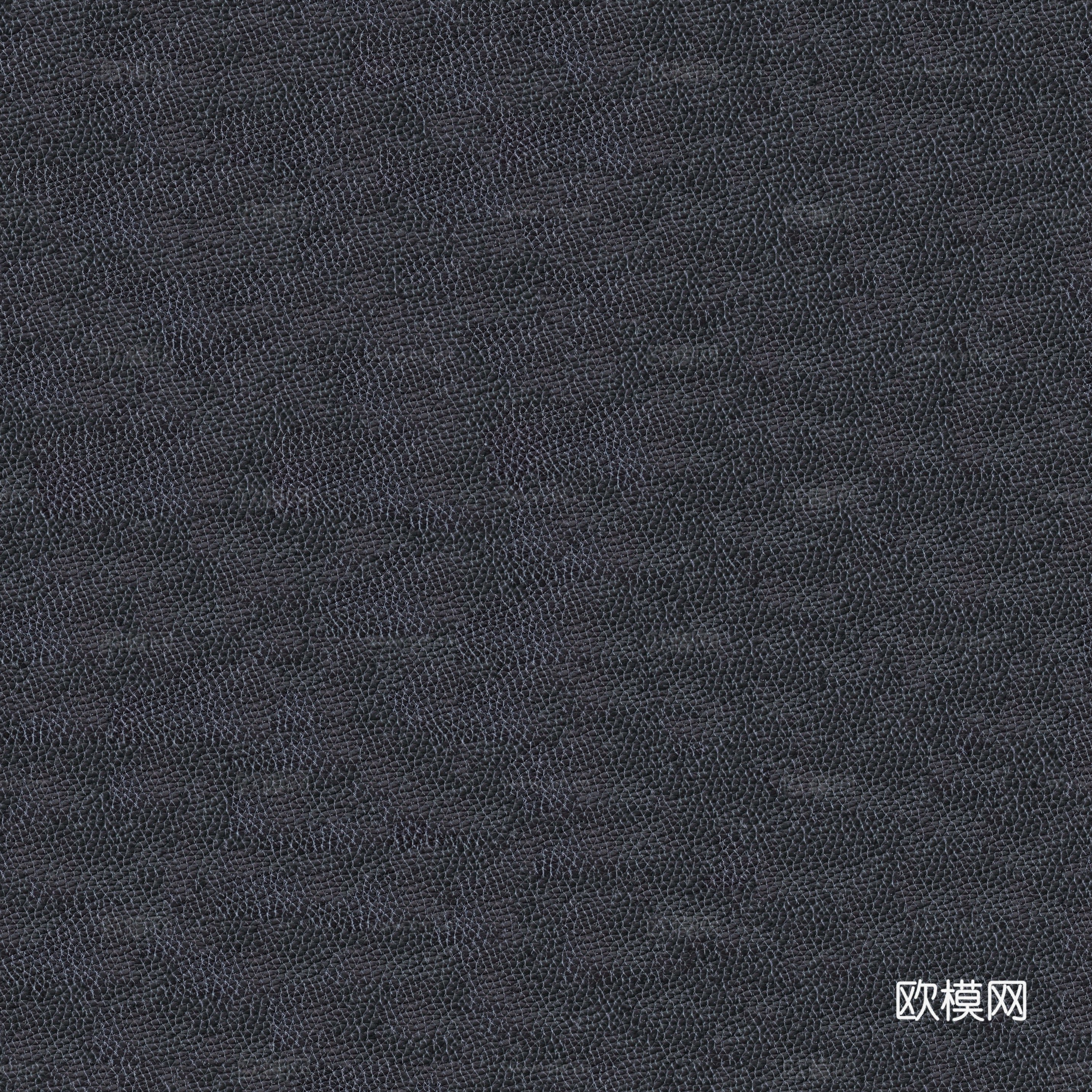 皮革 (1)