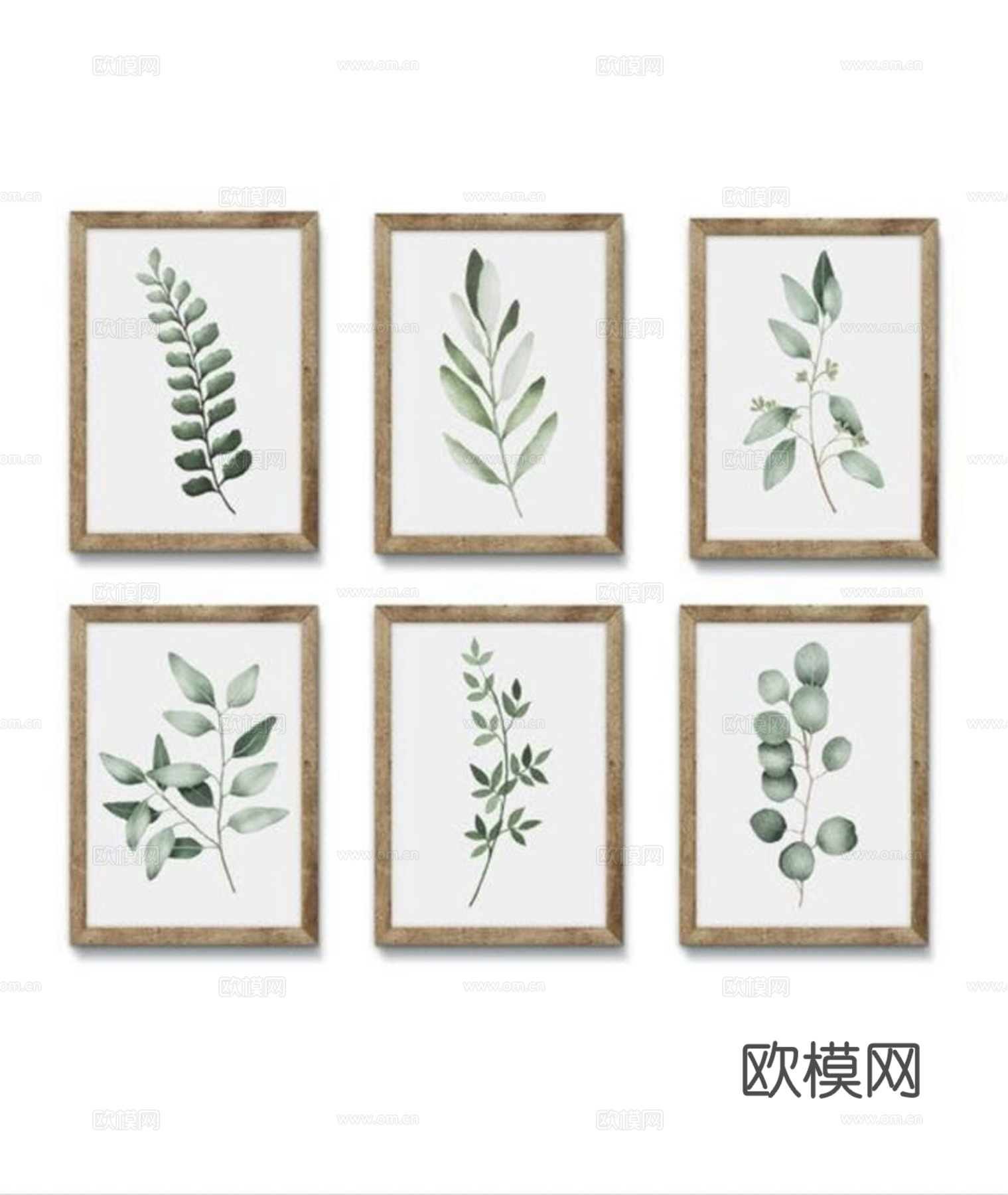 植物装饰画