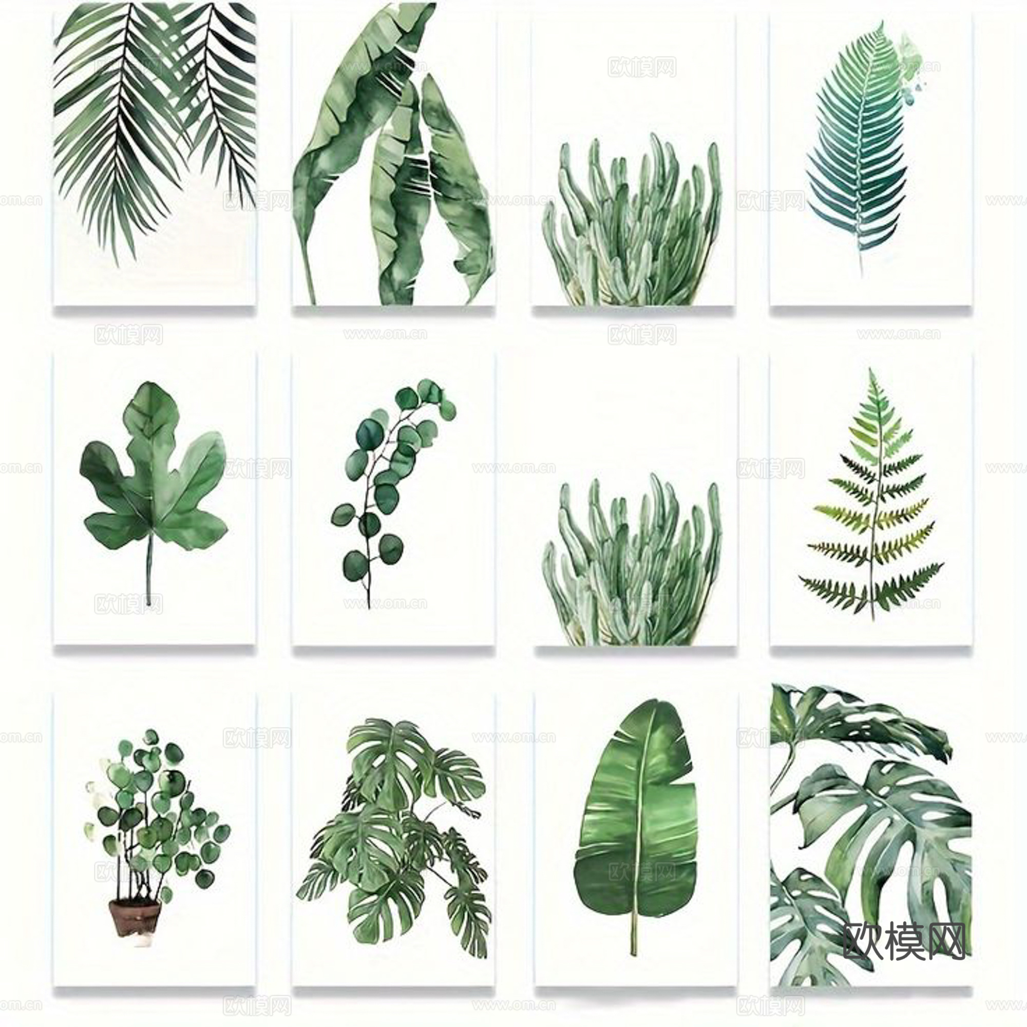 植物装饰画下载