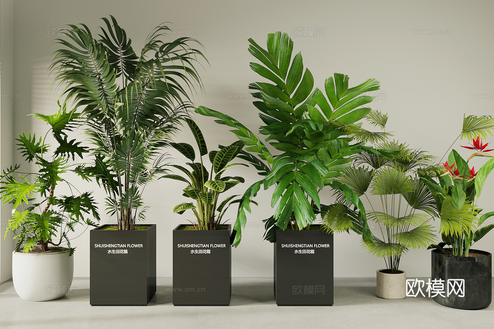 盆栽 盆栽植物 植物组合 落地盆栽植物 绿植植物摆件 花箱su模型