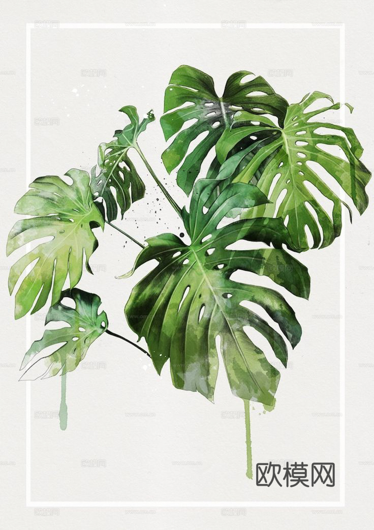 植物装饰画