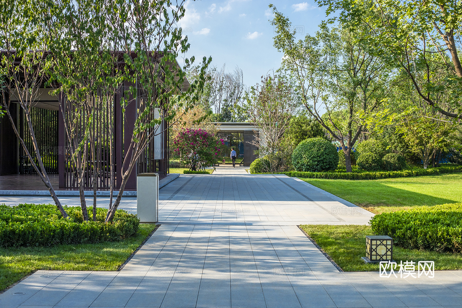 城市 公园 小区 草坪