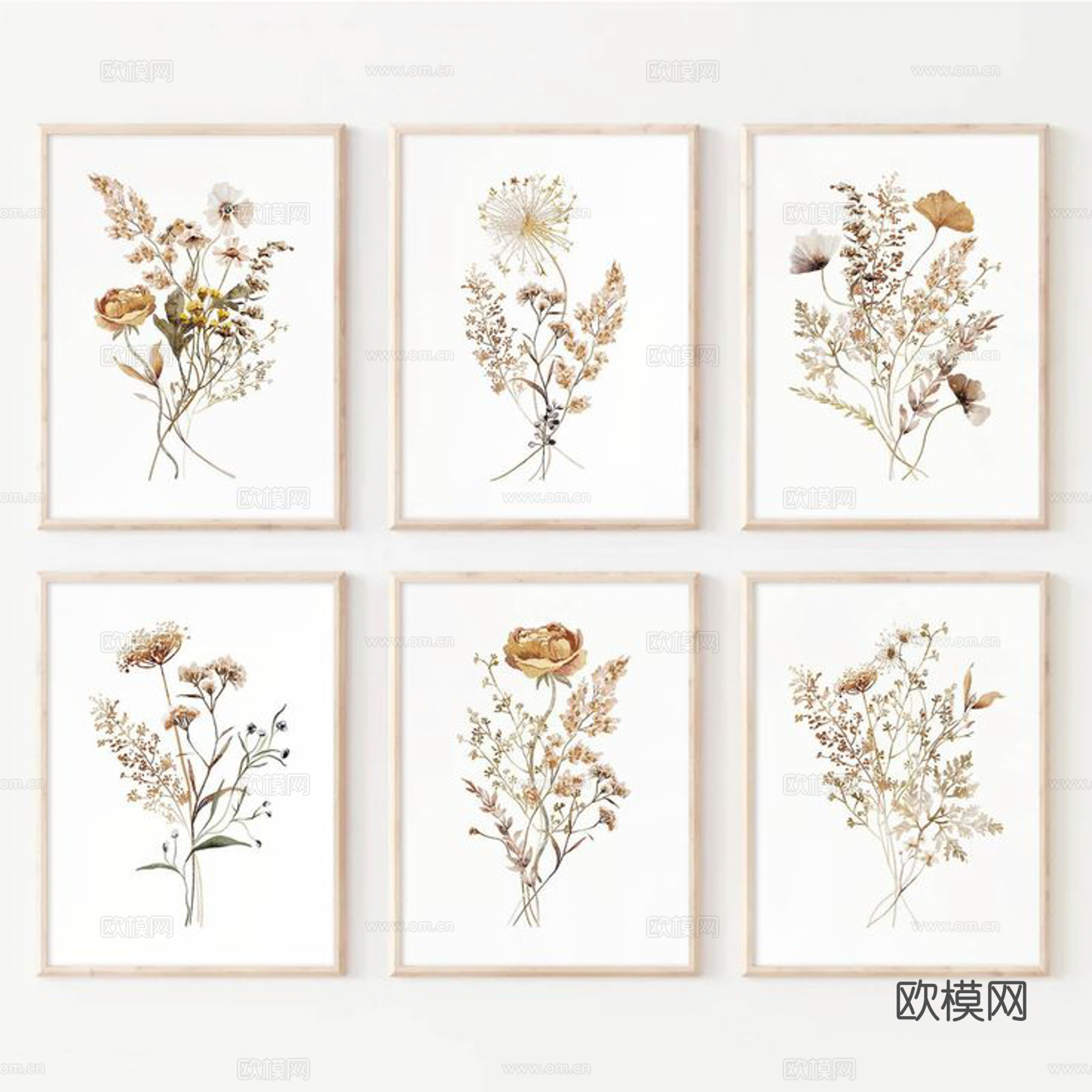 植物装饰画