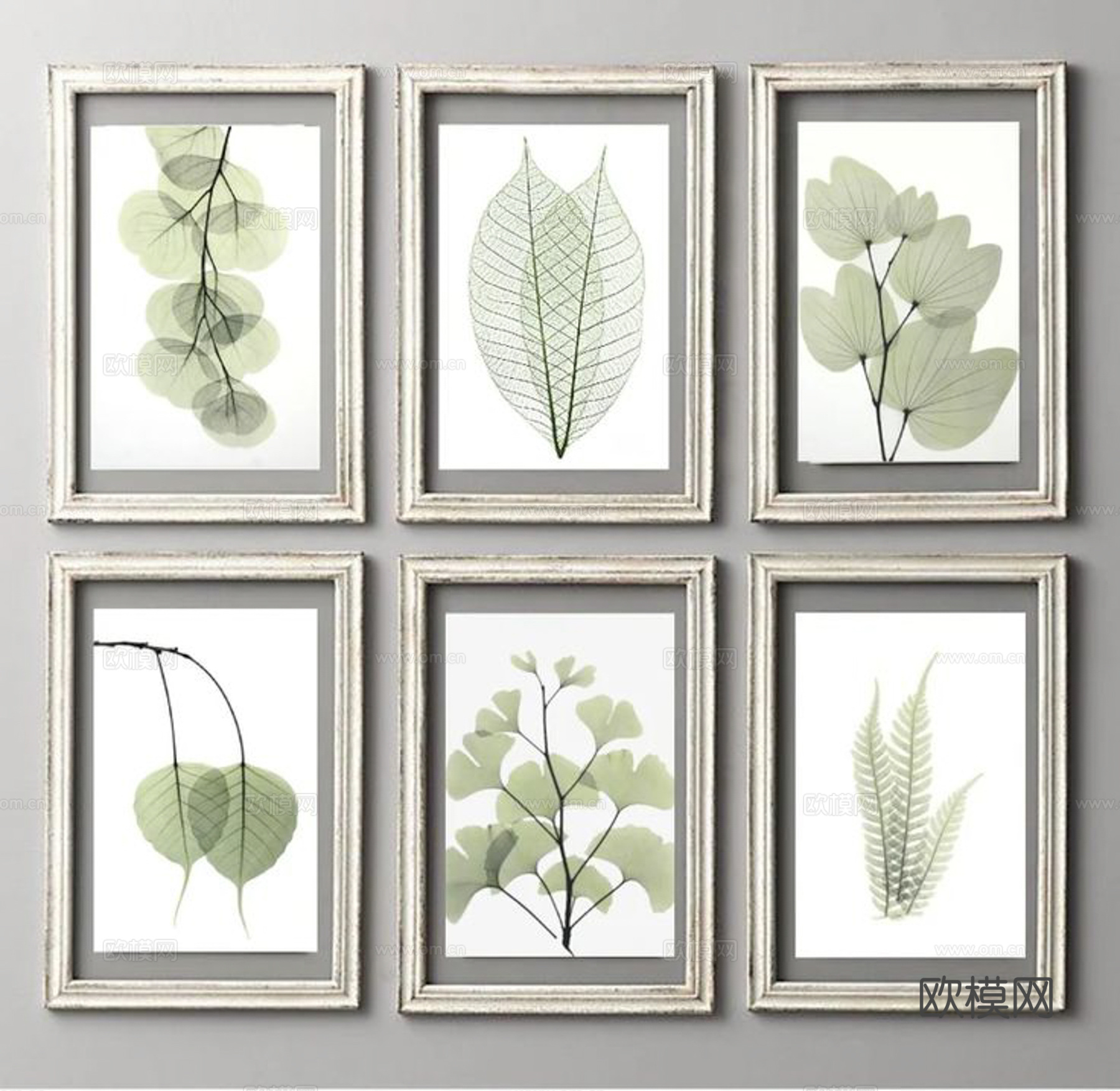 植物装饰画