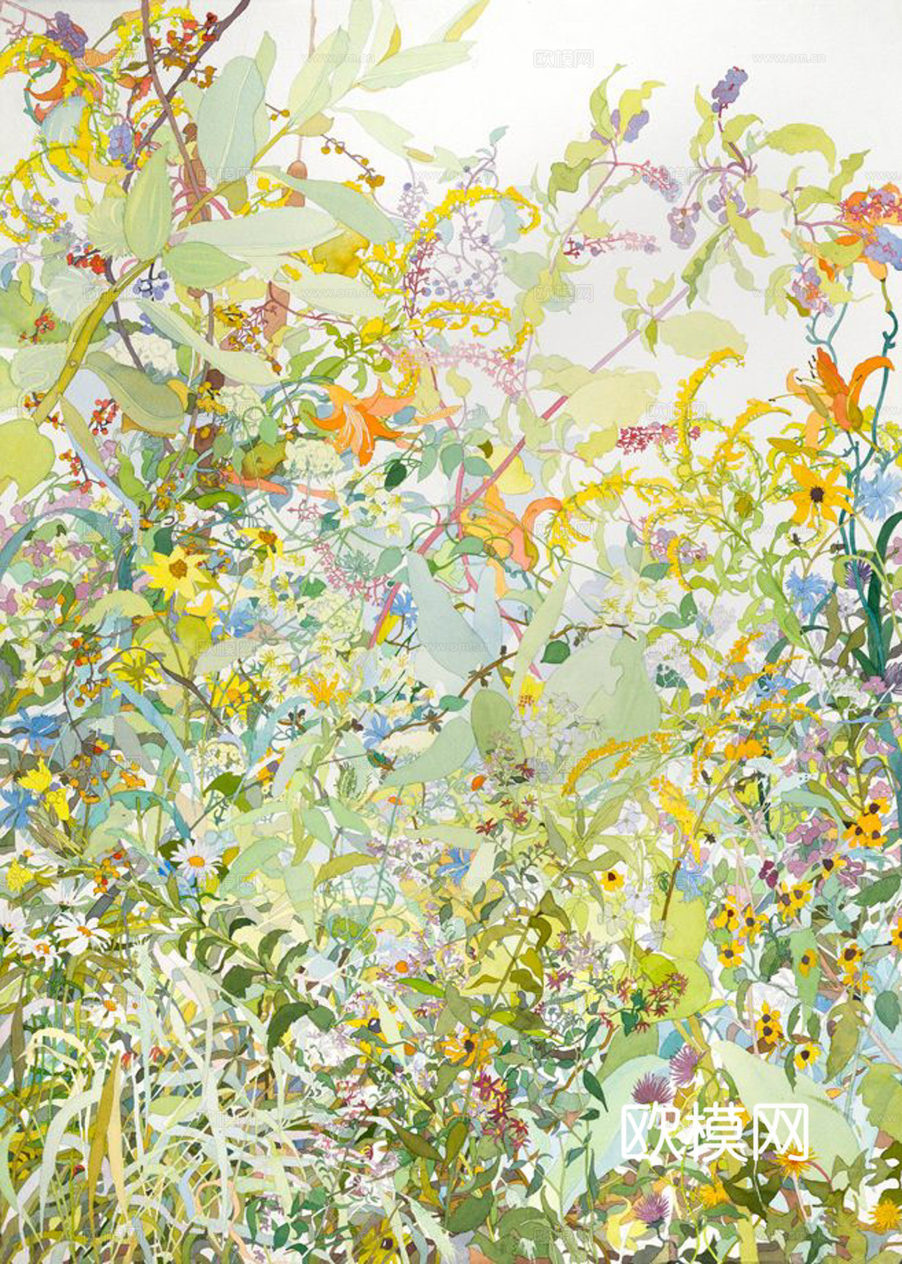 植物装饰画下载