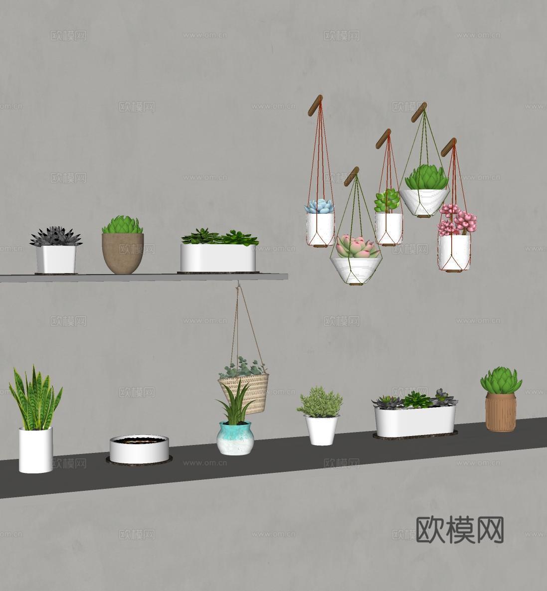 现代盆栽植物吊篮摆件su模型