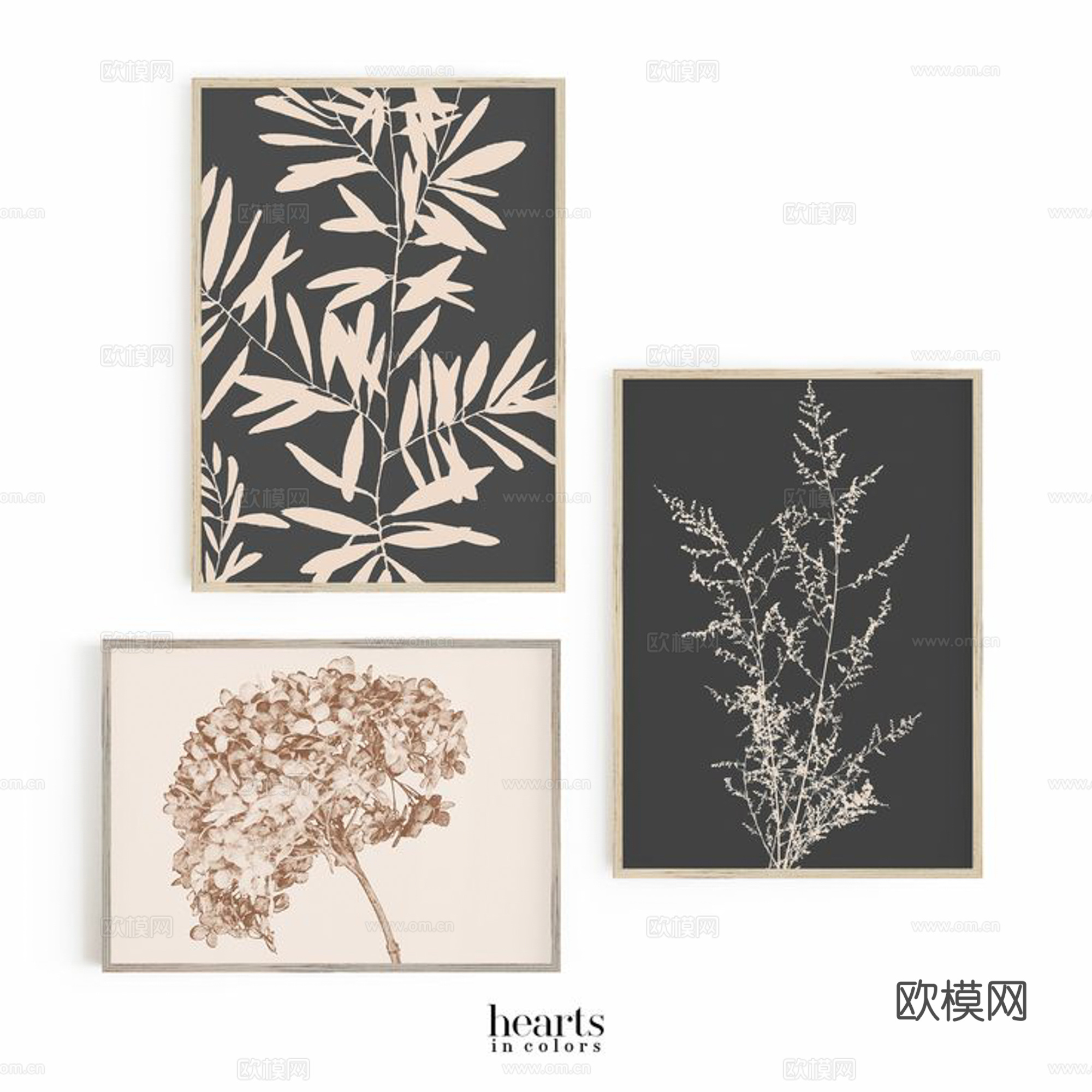 植物装饰画