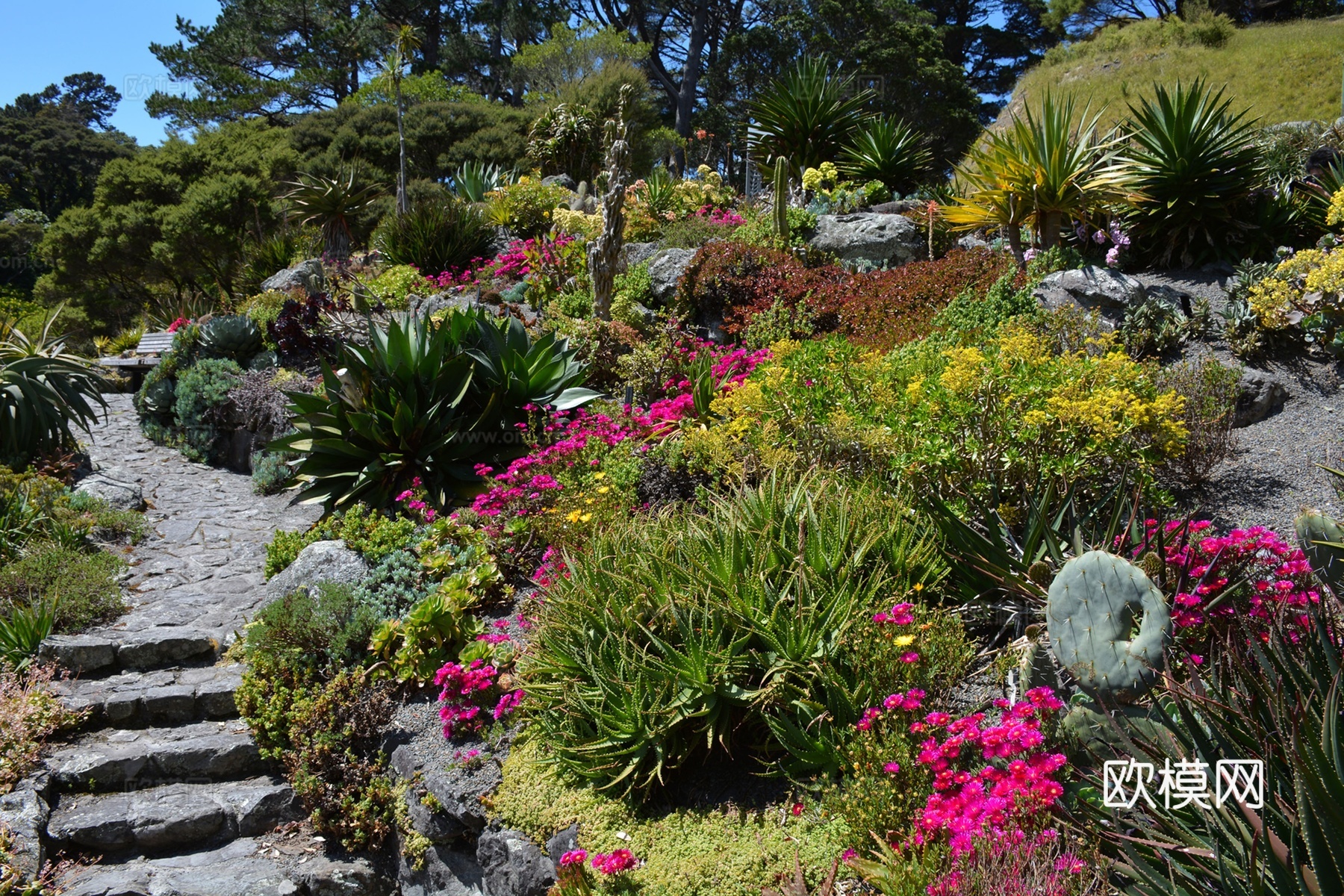 城市 公园 小区 草坪  花园