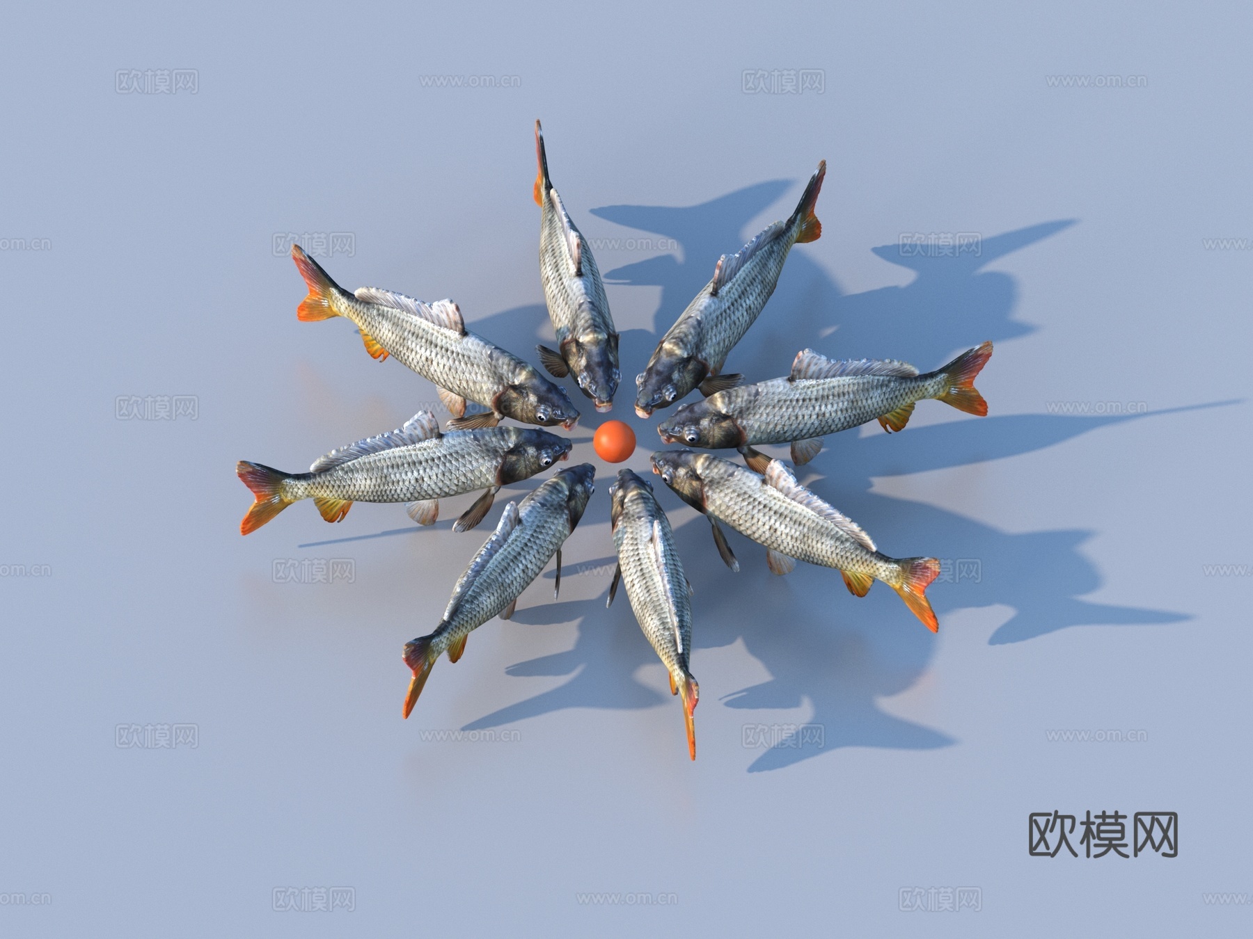 鱼 淡水鱼 海鱼 动物 游戏动物3d模型