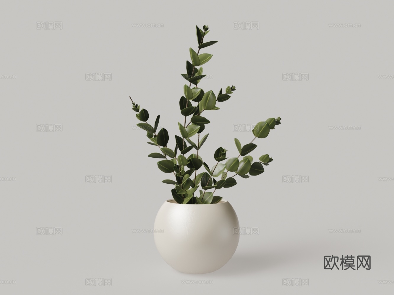 现代球形花盆绿植金钱花叶3d模型