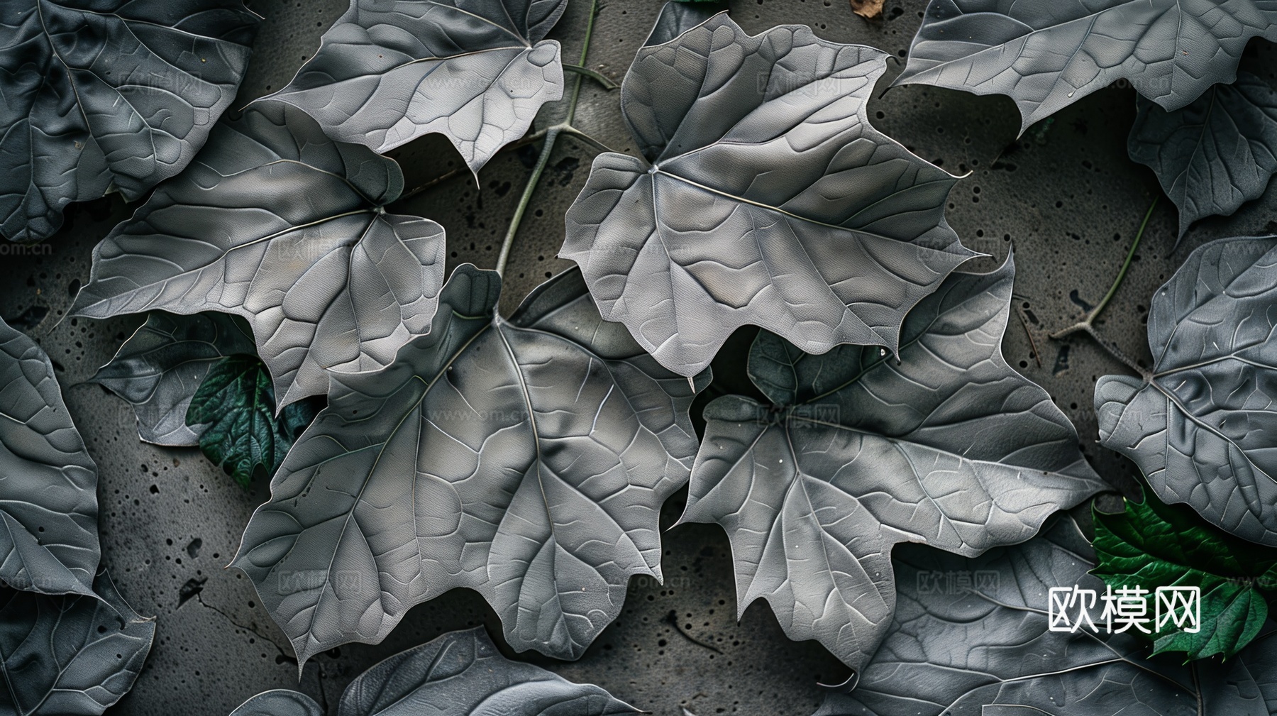 3D浮雕立体砖墙背景下载（渲染图1）