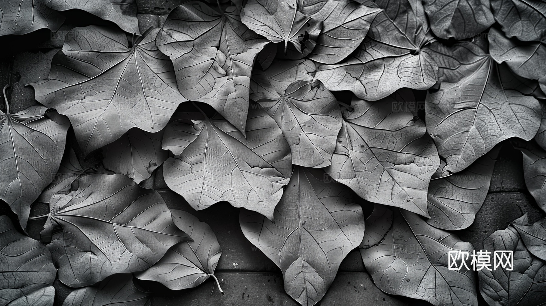 3D浮雕立体砖墙背景下载（渲染图7）