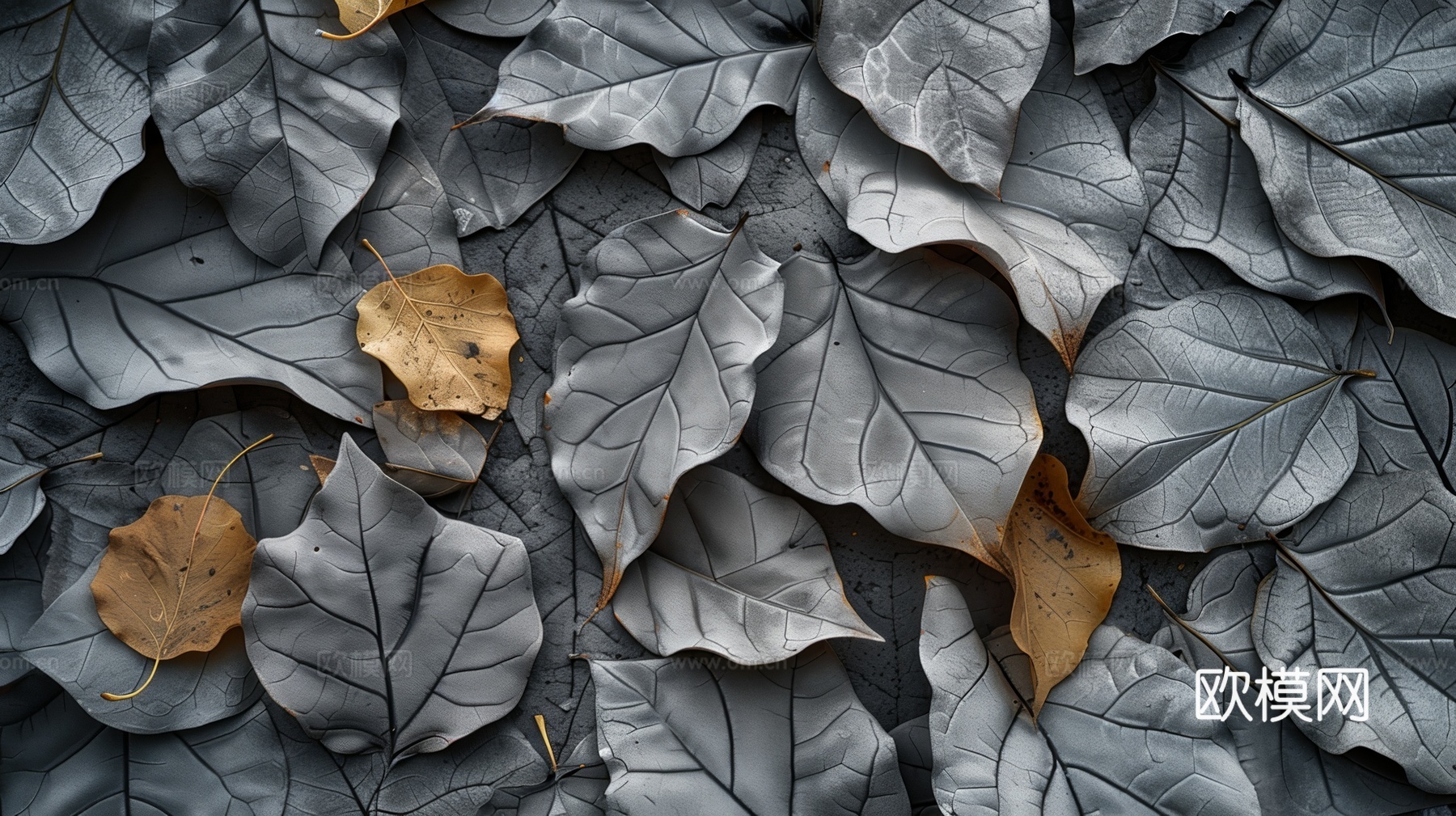 3D浮雕立体砖墙背景下载（渲染图6）