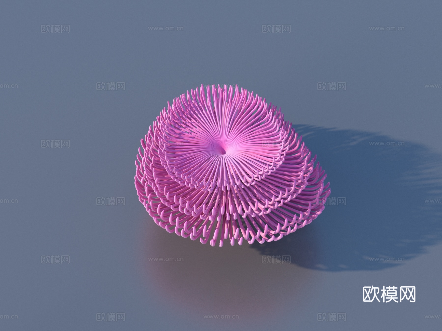 珊瑚 水生植物 海底世界3d模型
