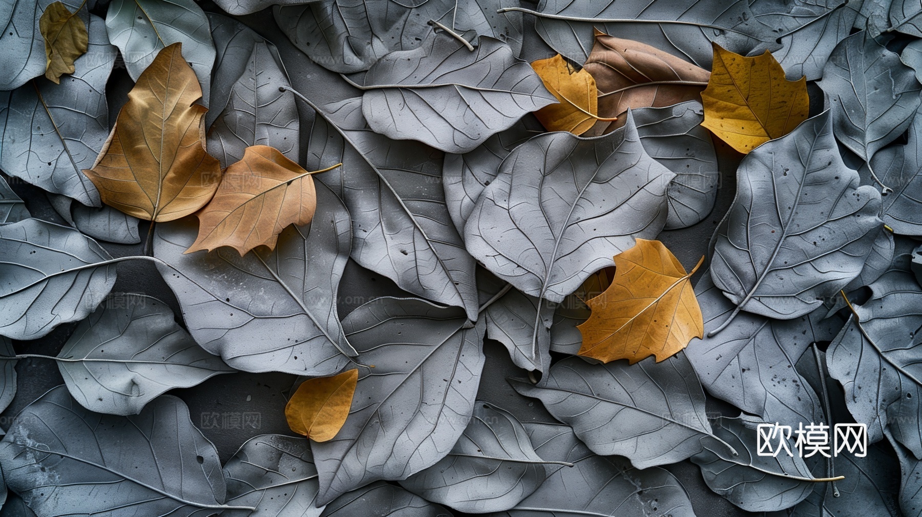 3D浮雕立体砖墙背景下载（渲染图3）