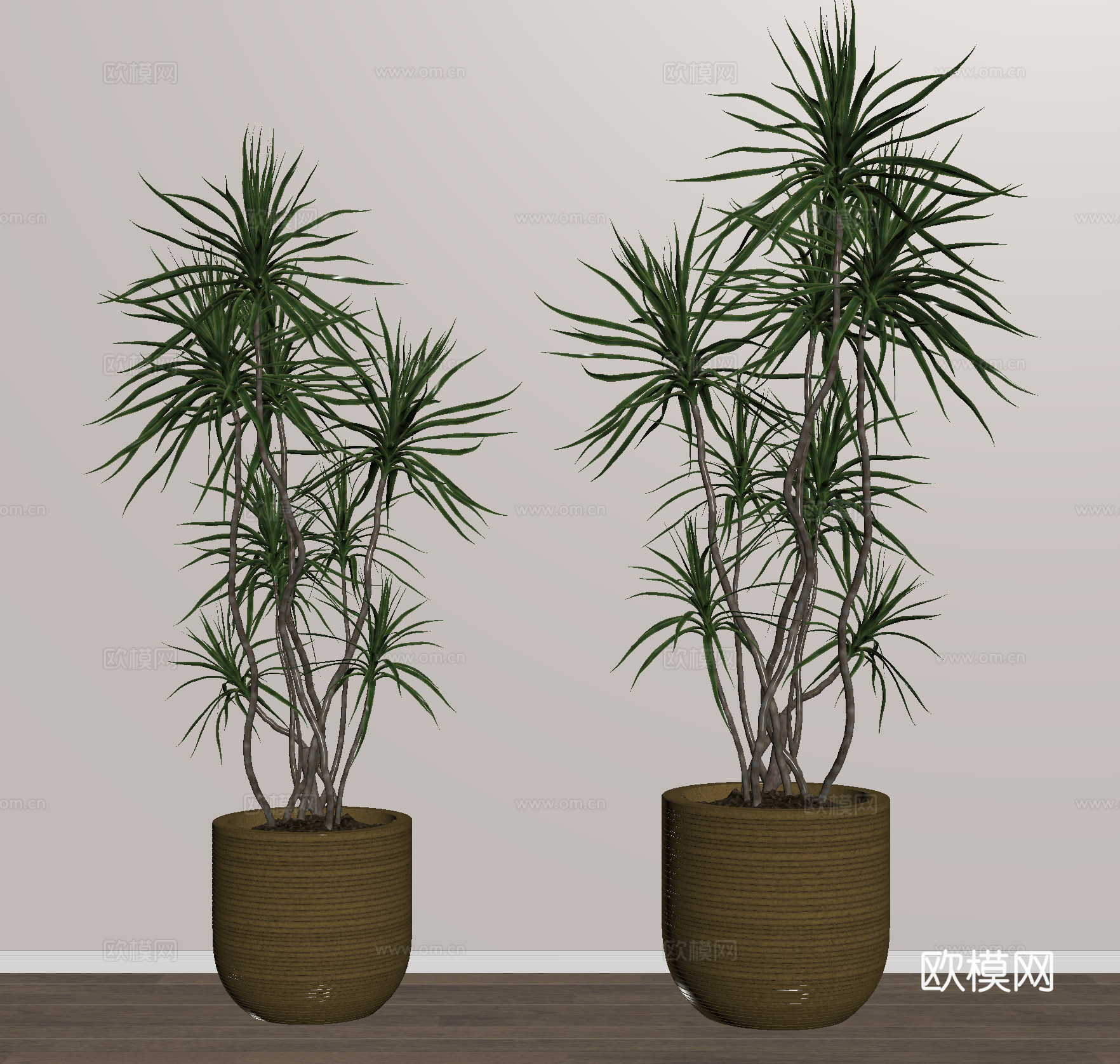 绿植 植物 盆栽 盆景su模型
